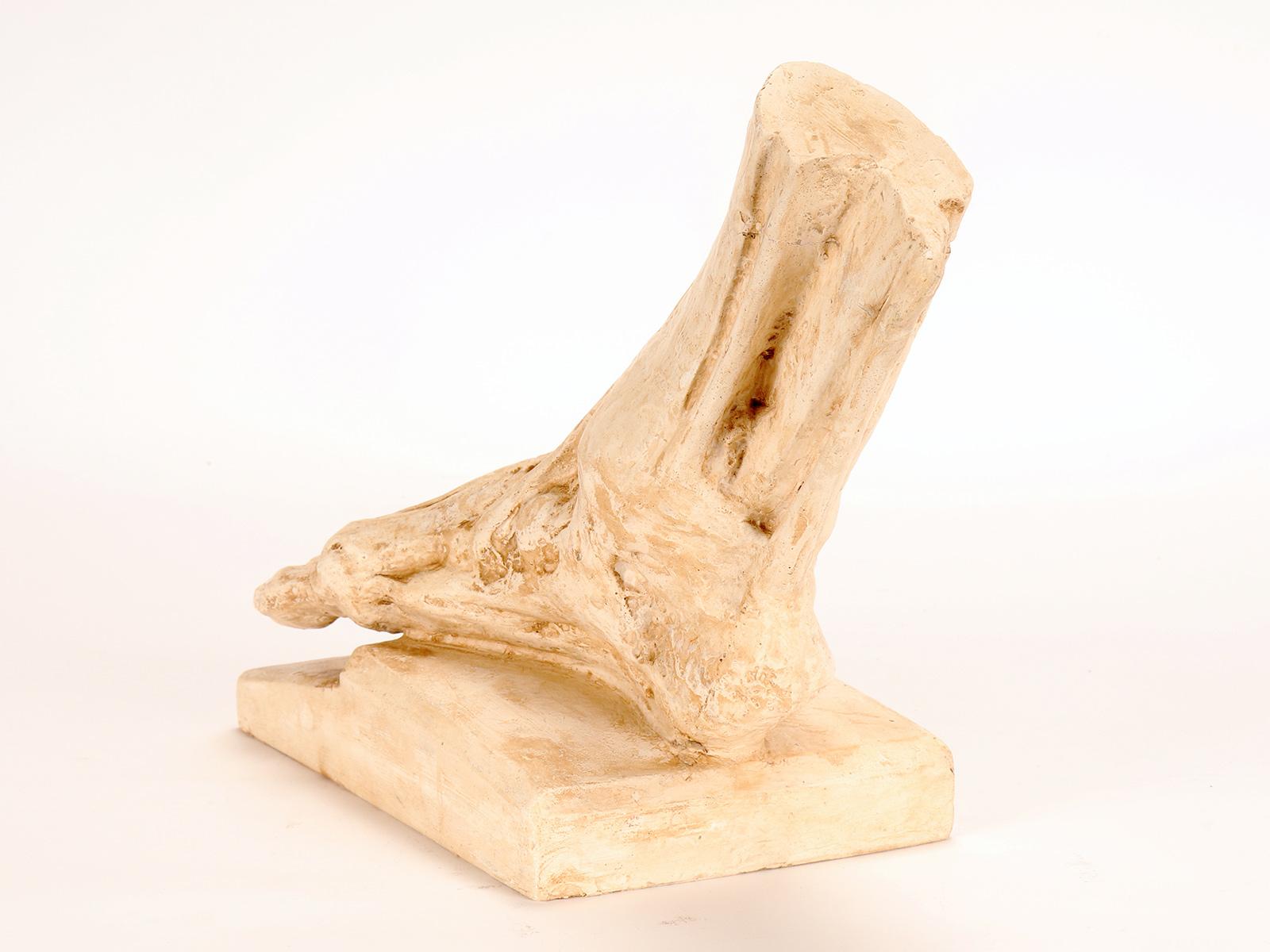 Antico modello anatomico in gesso di un piede scorticato, Italia 1900. in vendita 1