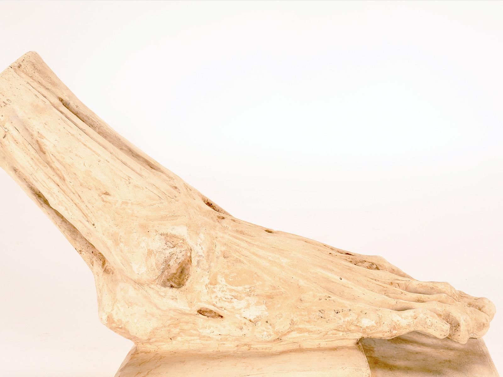 Antico modello anatomico in gesso di un piede scorticato, Italia 1900. in vendita 2