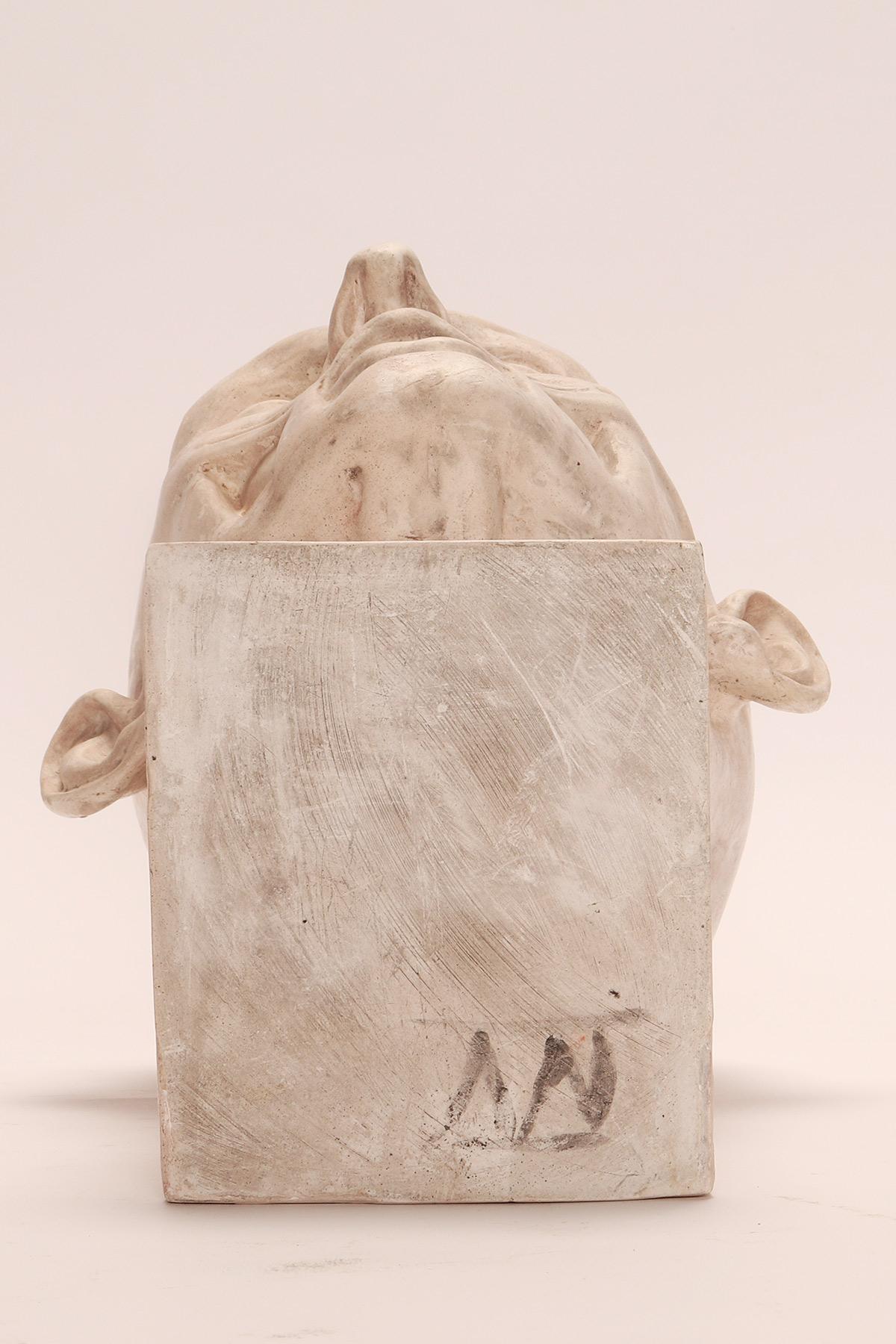 Modelo anatómico antiguo de escayola de una cabeza parcialmente desollada, Italia 1900. en venta 5