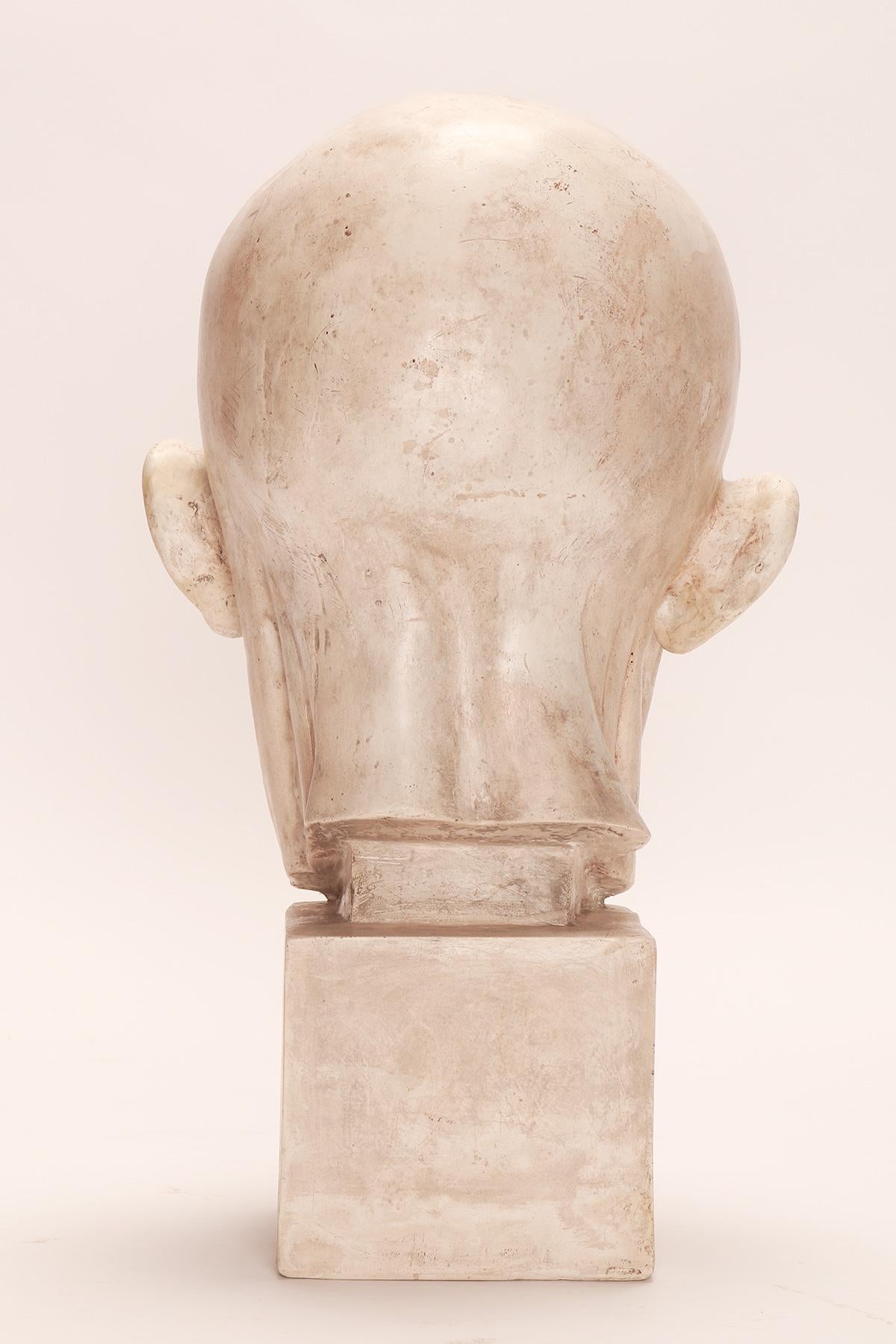 Modelo anatómico antiguo de escayola de una cabeza parcialmente desollada, Italia 1900. siglo XX en venta