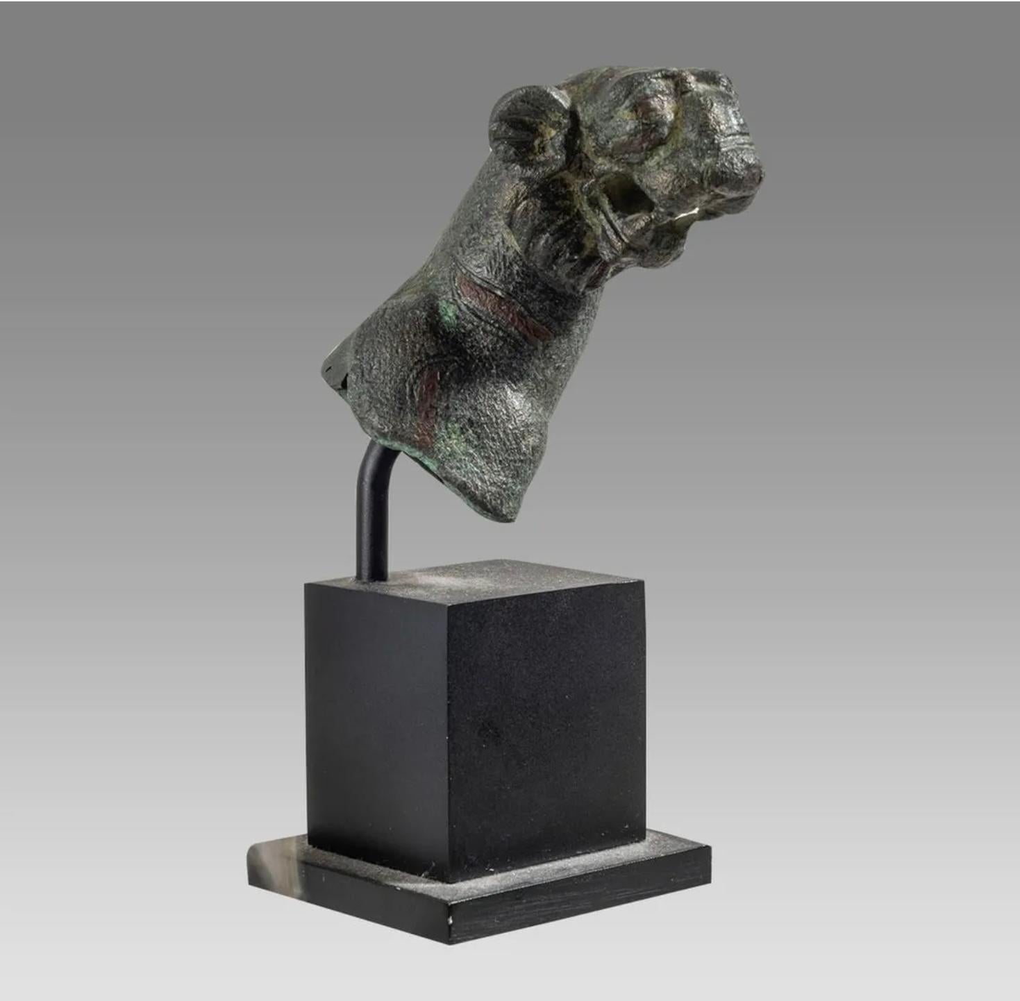 This is a very fine Ancient Roman Bronze Tiger Head dating to the 1st-2nd century AD.   The Ancient Roman cast bronze head of the Tiger has extremely fine quality casting and superb details. The head of the tiger itself is 2 1/2 inches tall and is