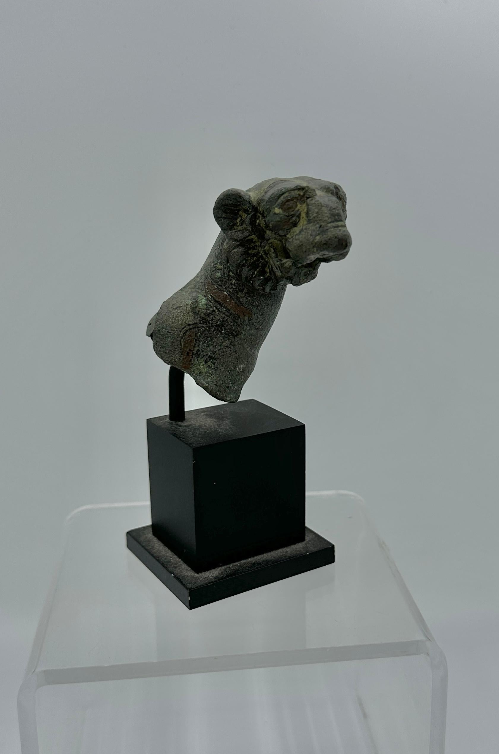 Women's or Men's Ancient Roman Bronze Tiger circa 1st-2nd century AD Guarantee Rare For Sale
