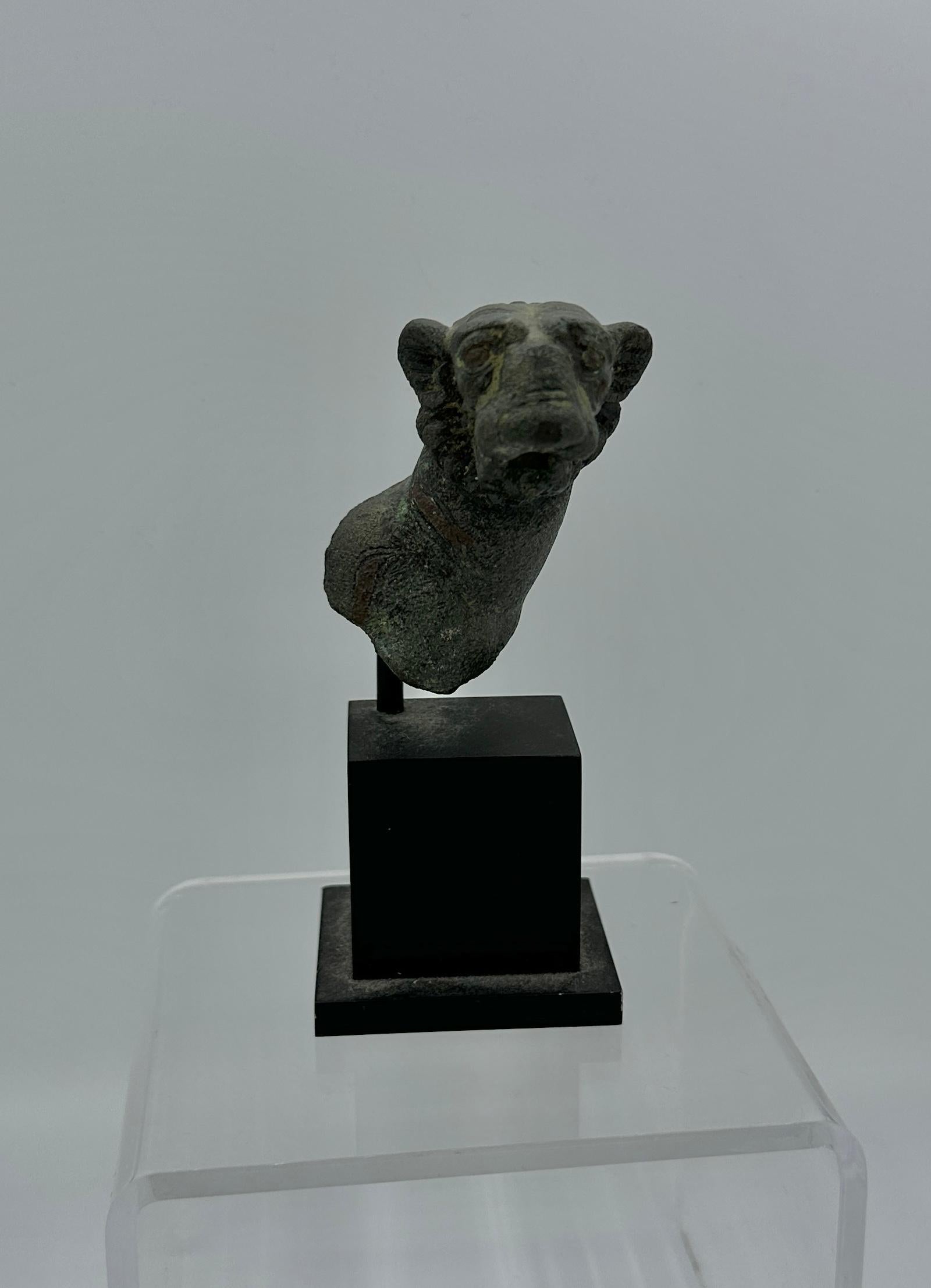 Ancient Roman Bronze Tiger circa 1st-2nd century AD Guarantee Rare For Sale 1
