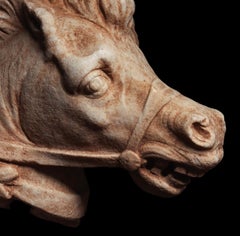 Antica testa di cavallo romana in marmo