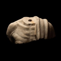 Ancient Roman Upper torso fragment of an Old Fisherman in marble.