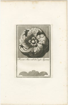 Ancient Rosette in the Arch of the Silversmiths, 1780