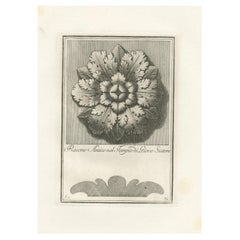Antique Ancient Rosette in the Temple of Jupiter the Stayer, 1780