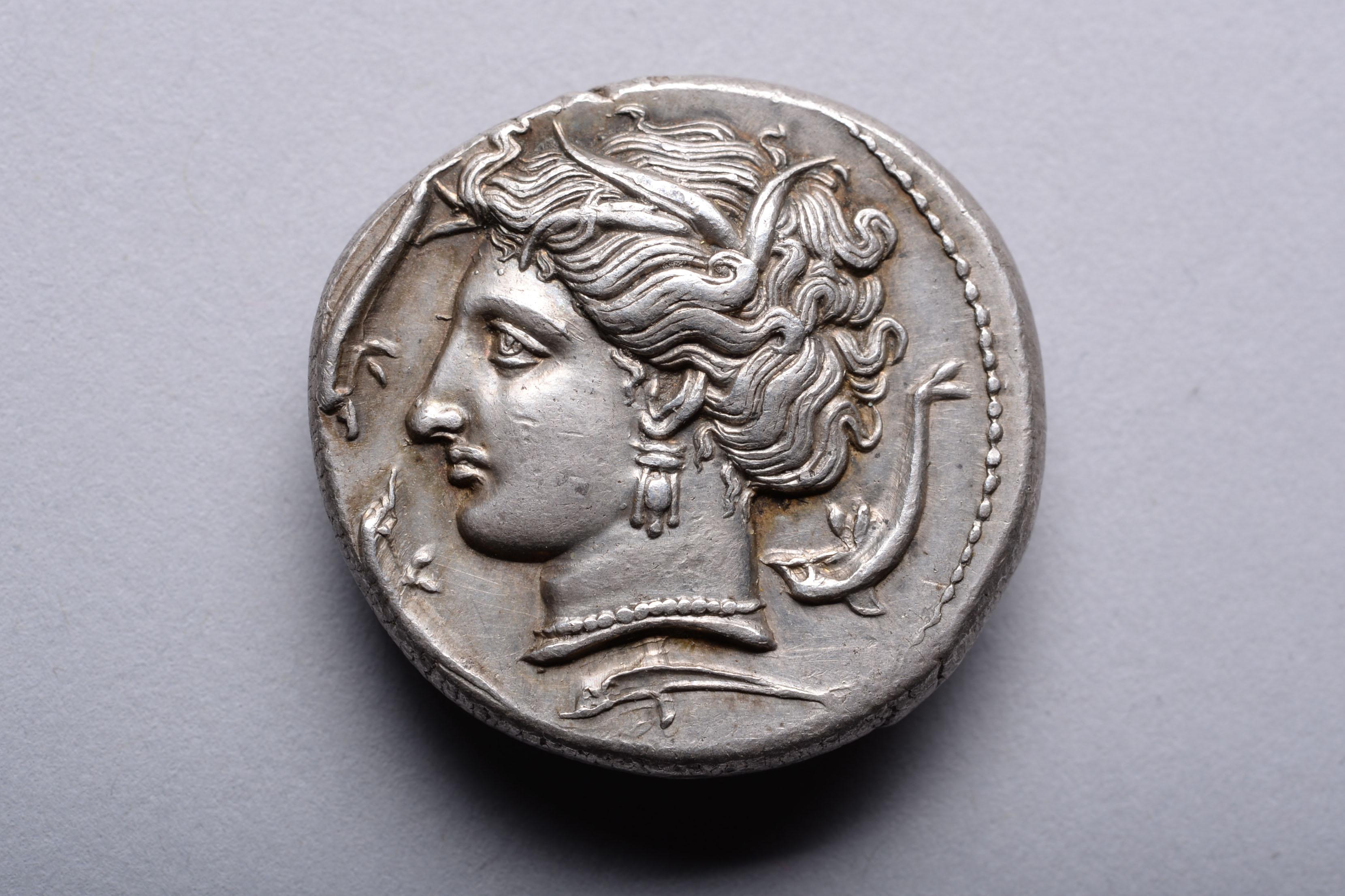 This beautiful coin was issued at the Entella mint, Sicily, by the Carthaginians. The obverse with a portrait of the nymph and patron of Syracuse, Arethusa. The reverse with a date palm and the head of a horse, the national emblem of Carthage.