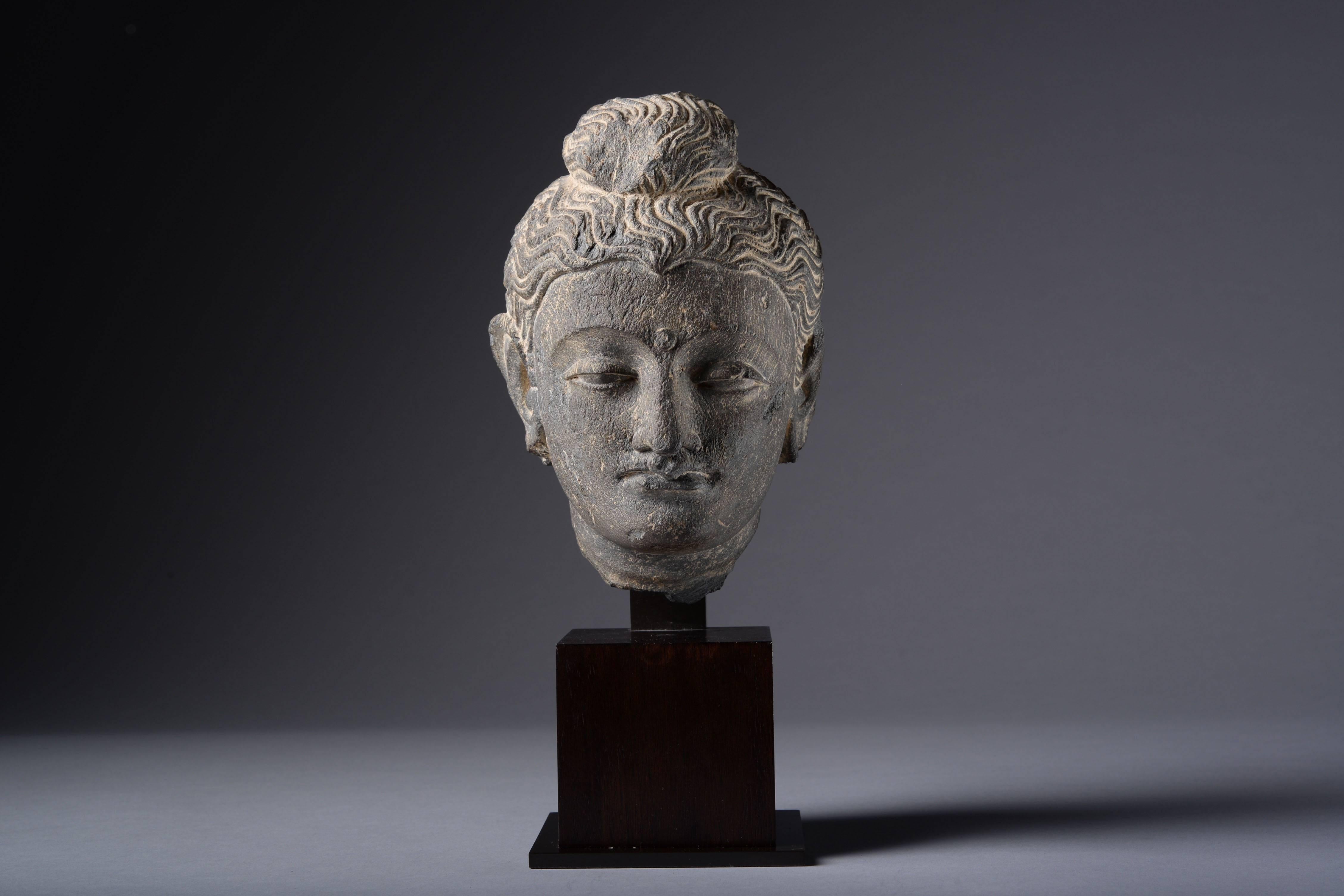 Asian Gandharan Schist Head of Buddha, AD 250