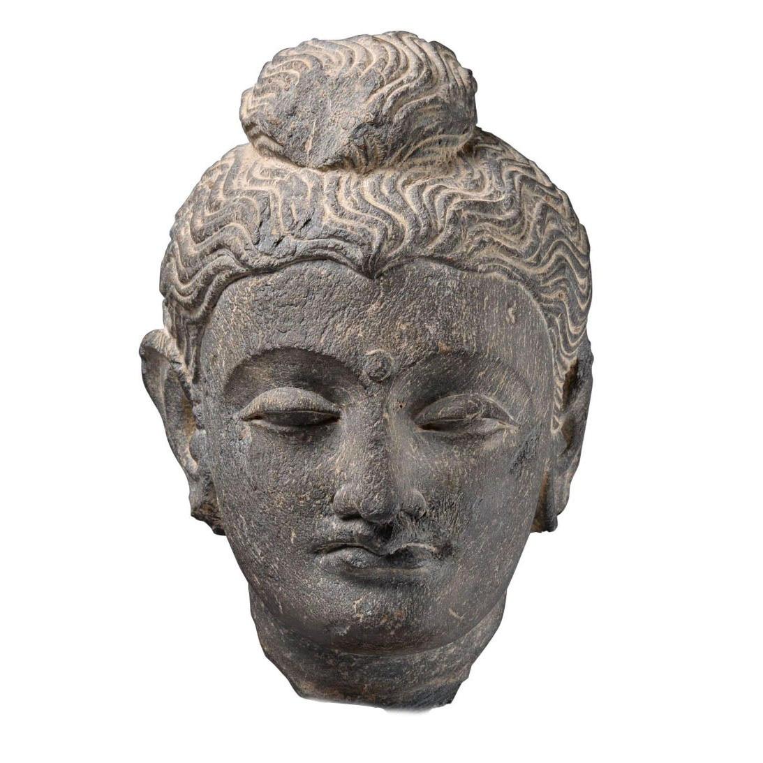 Gandharan Schist Head of Buddha, AD 250