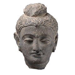 Gandharan Schist Head of Buddha, AD 250