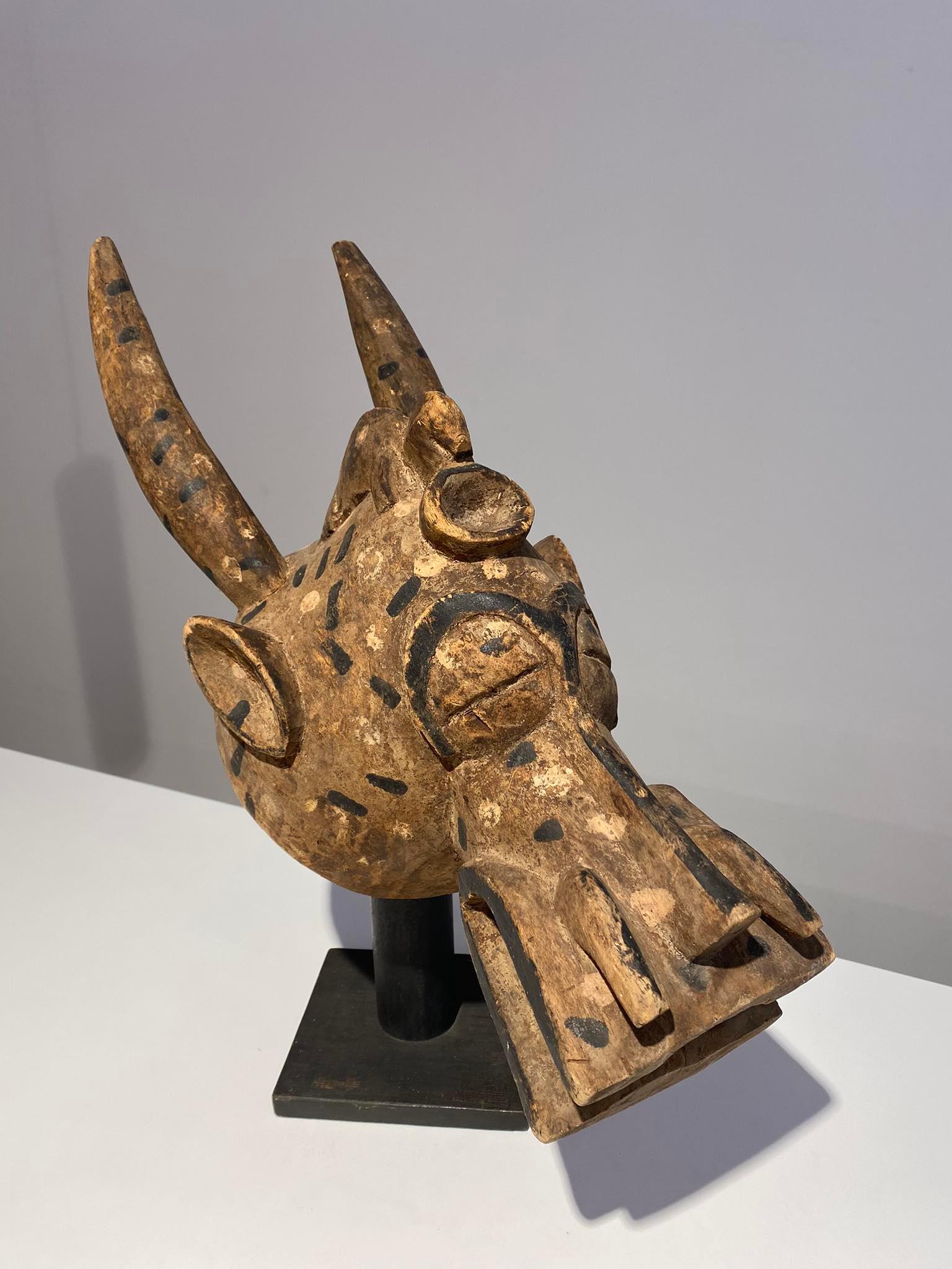 Ivoriano Antica maschera zoomorfa Senufo Kponyungo Poro Costa d'Avorio Inizio XX secolo / A in vendita