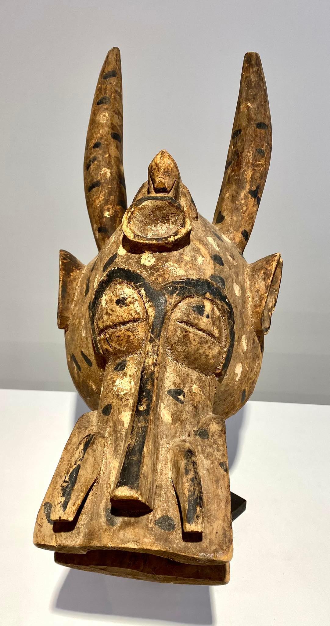 Antica maschera zoomorfa Senufo Kponyungo Poro Costa d'Avorio Inizio XX secolo / A In condizioni buone in vendita a Leuven, BE