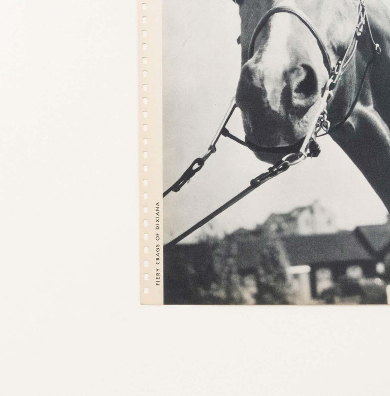 and Peter Stackpole Vintage Photo For Sale at 1stDibs