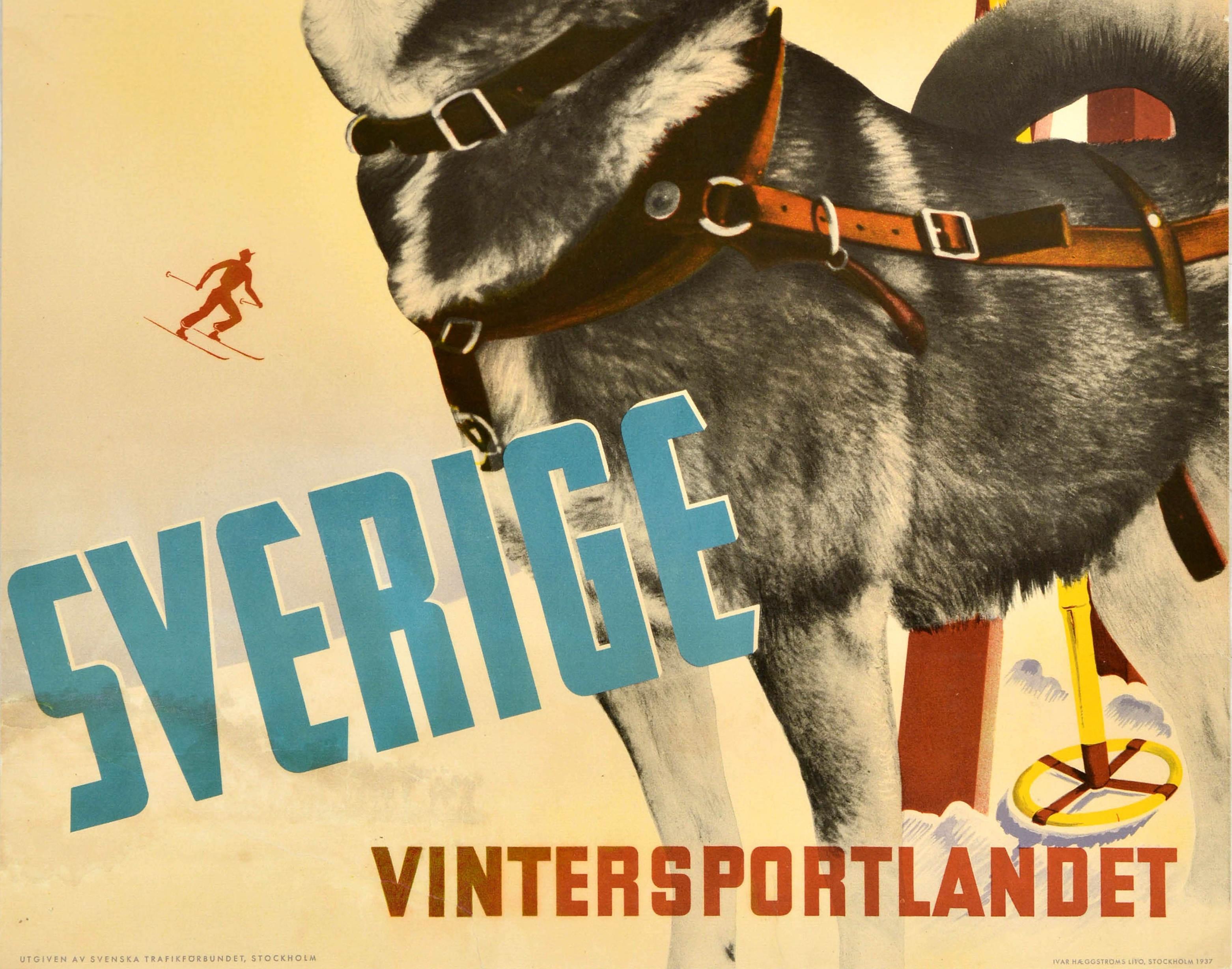 Original vintage ski and winter sport poster - Sverige Vintersportlandet - featuring a great design by Anders Beckman (1907-1967) depicting a black and white photograph of a Norwegian Elkhound or husky dog wearing a harness in the foreground with