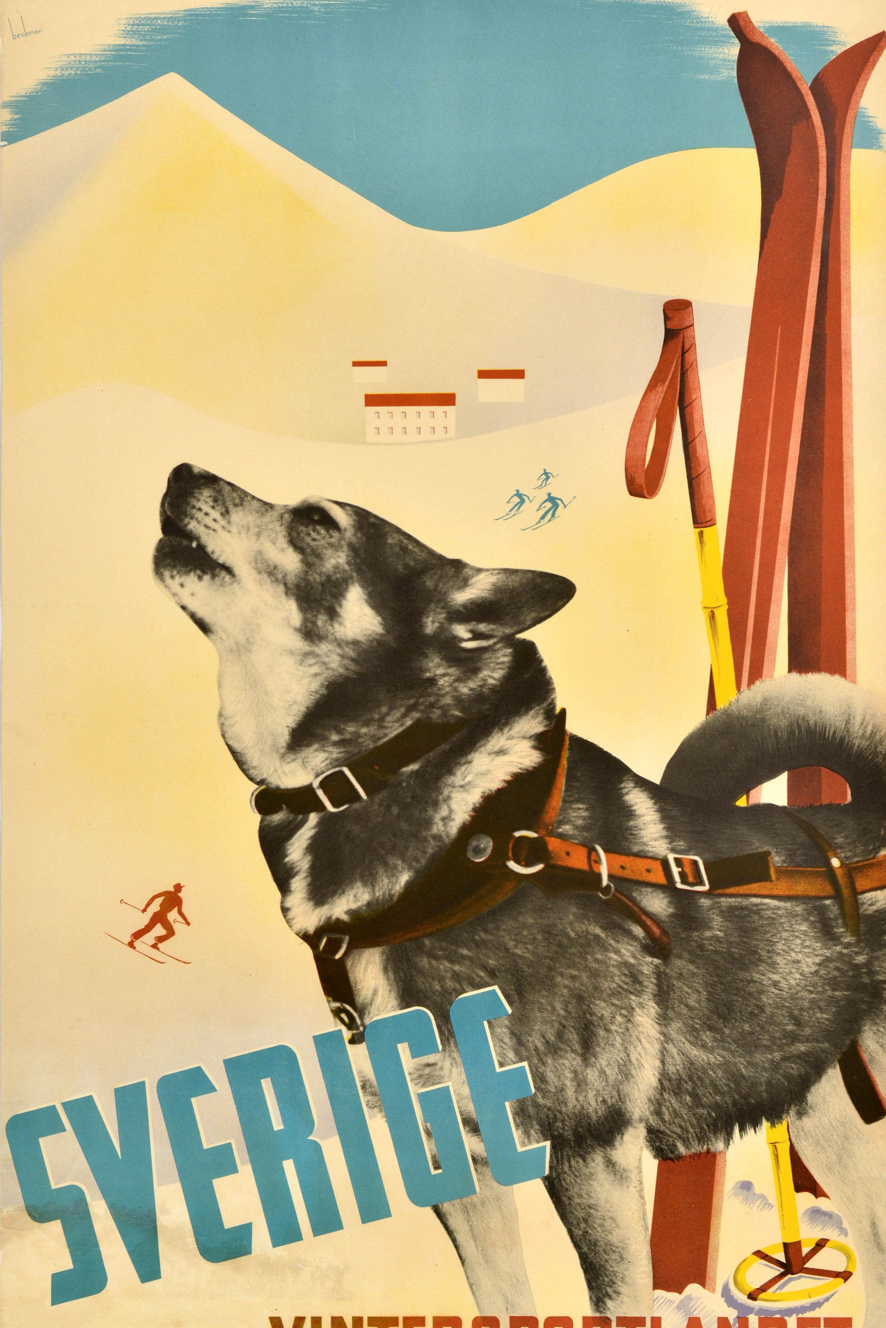 Poster originale d'epoca per lo sci e gli sport invernali - Sverige Vintersportlandet - con un grande disegno di Anders Beckman (1907-1967) che raffigura una fotografia in bianco e nero di un cane norvegese Elkhound o husky che indossa