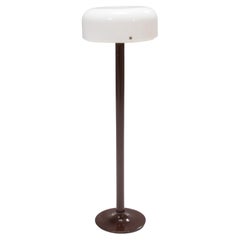 Swedish Anders Pehrson for Ateljé Lyktan Brown Knubbling Floor Lamp, 1970s