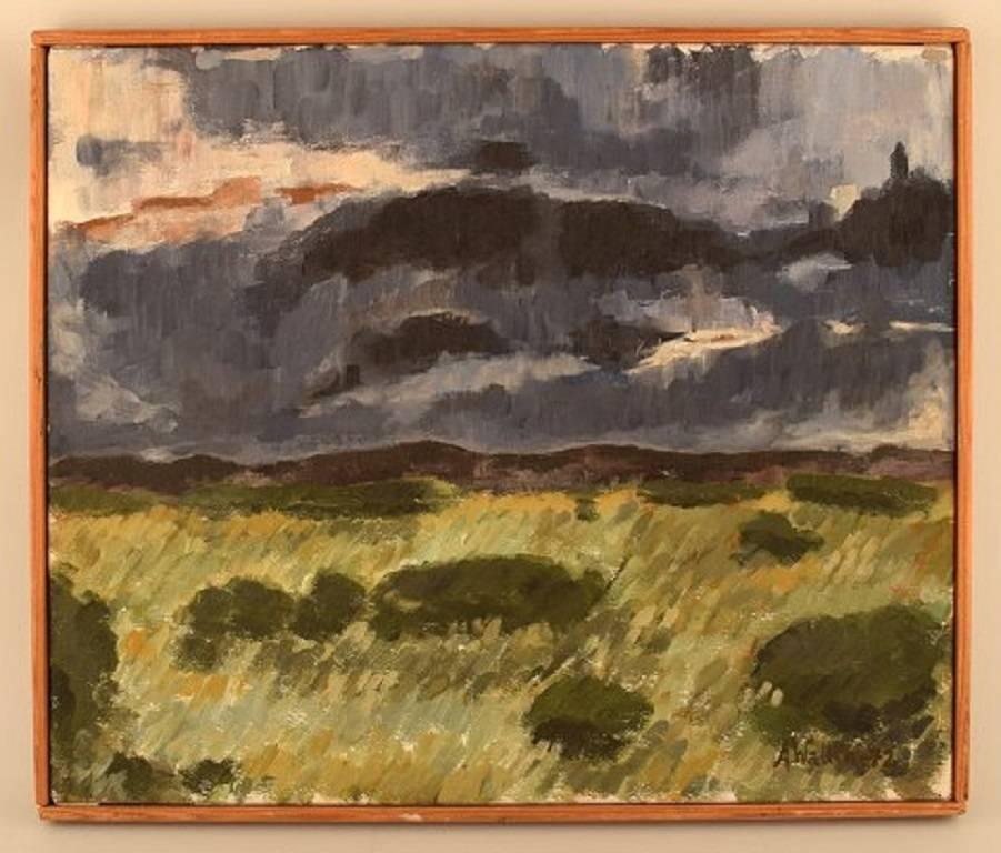 Anders Wallin, Swedish artist. Swedish landscape.
Oil on canvas
Signed, dated 72.
Measures: 39 cm. x 46 cm. The frame measures 1.5 cm.
In perfect condition.