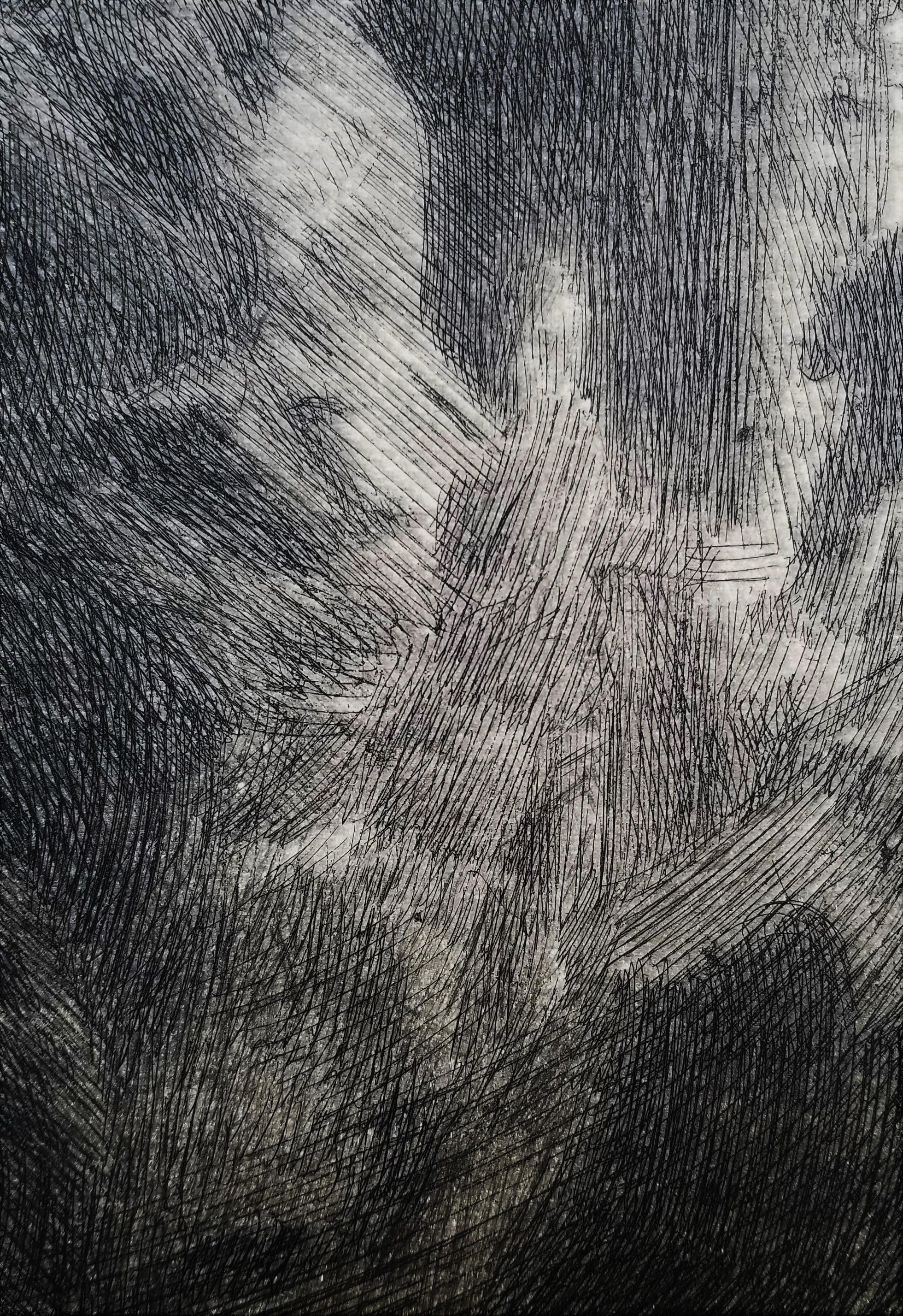 Danse à Gopsmor /// Impressionniste suédois Anders Zorn, gravure de soirée ancienne  en vente 13