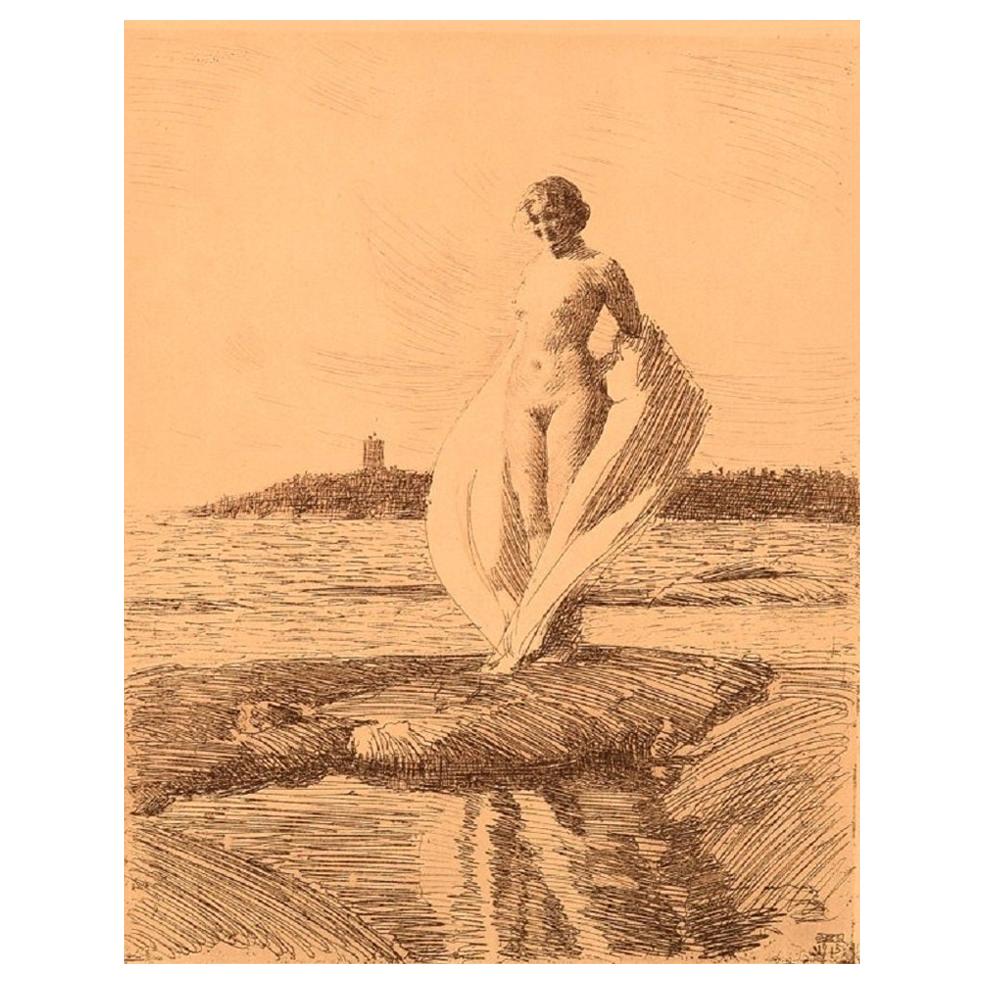 Anders Zorn, Sweden, Facsimile Print, "The Swan", Young Naked Woman