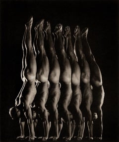 Equipo Nacional Danés de Gimnasia (Sin título nº 1), Fotografía de físico masculino Queer