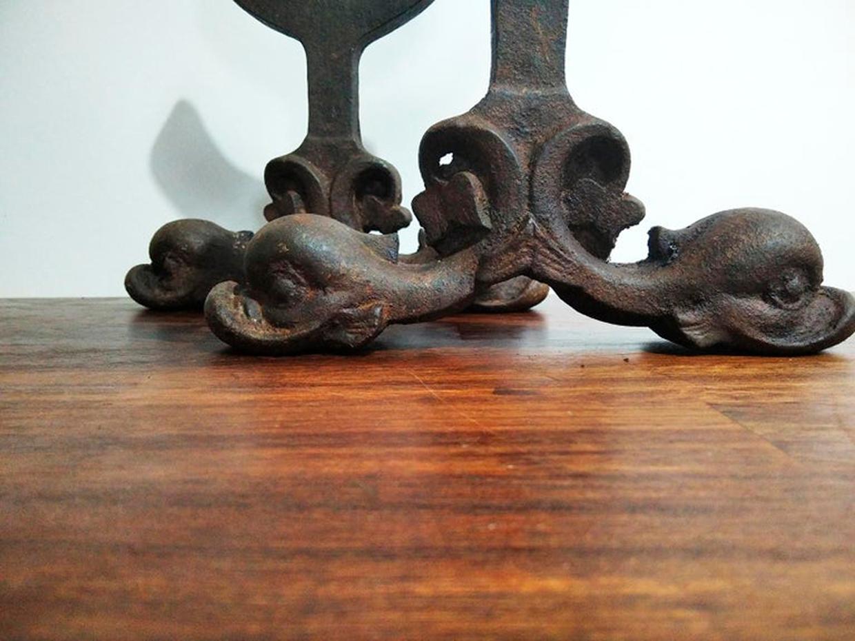 Andirons Cast Iron Antiques Fireplace  Ducks Shaped, France, Early 20th Century  For Sale 7