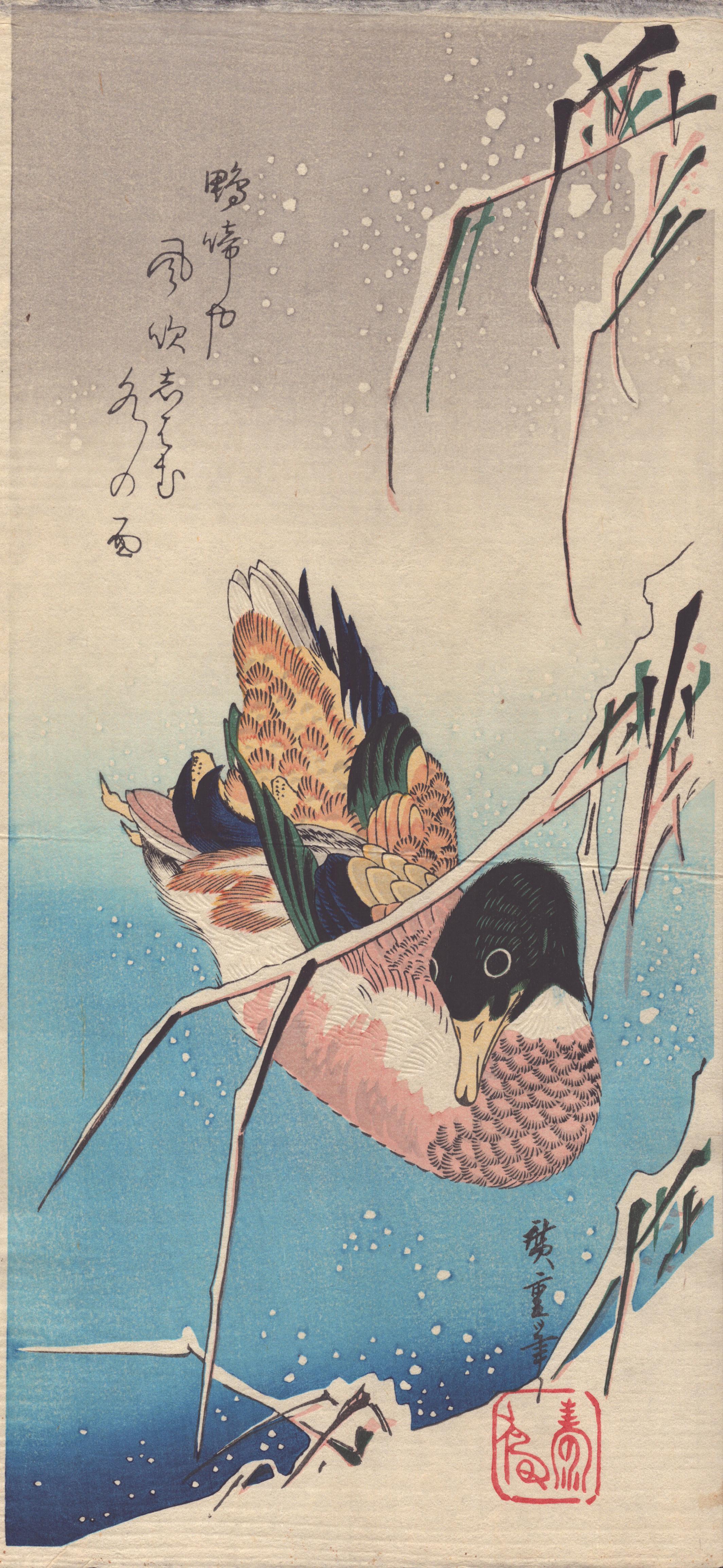 Utagawa Hiroshige (Ando Hiroshige) Animal Print - Hiroshige (1797-1858) - Duck in Snow 雪中芦に鴨 [Reproduction]