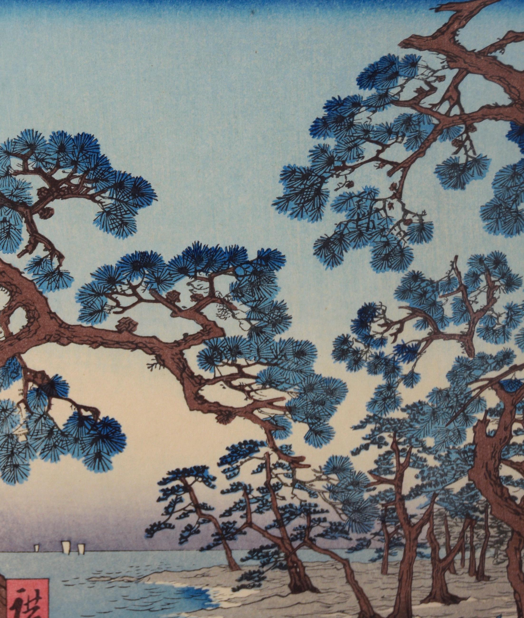 Pine Trees at Maiko Beach, from 