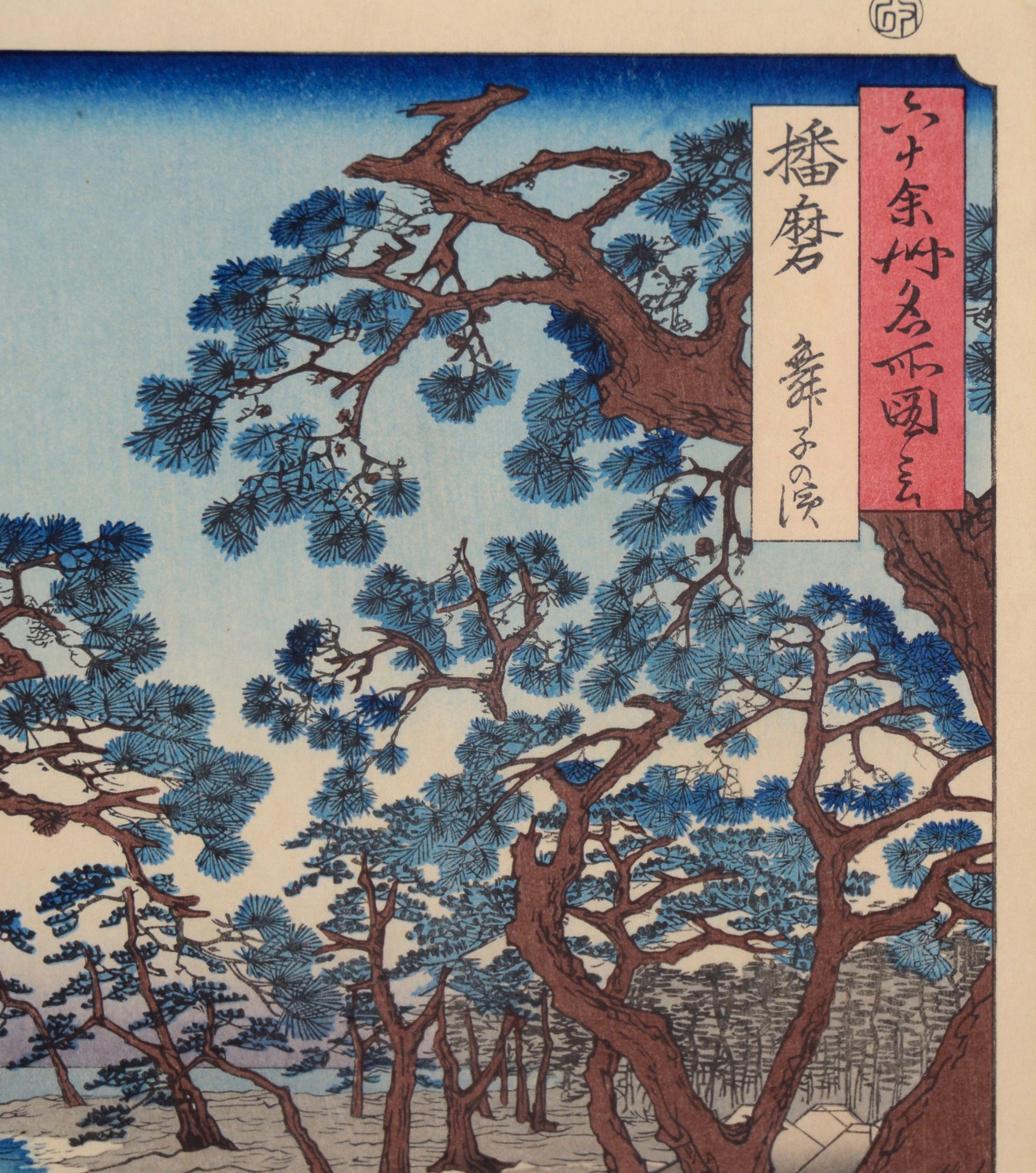 Pine Trees at Maiko Beach, from 