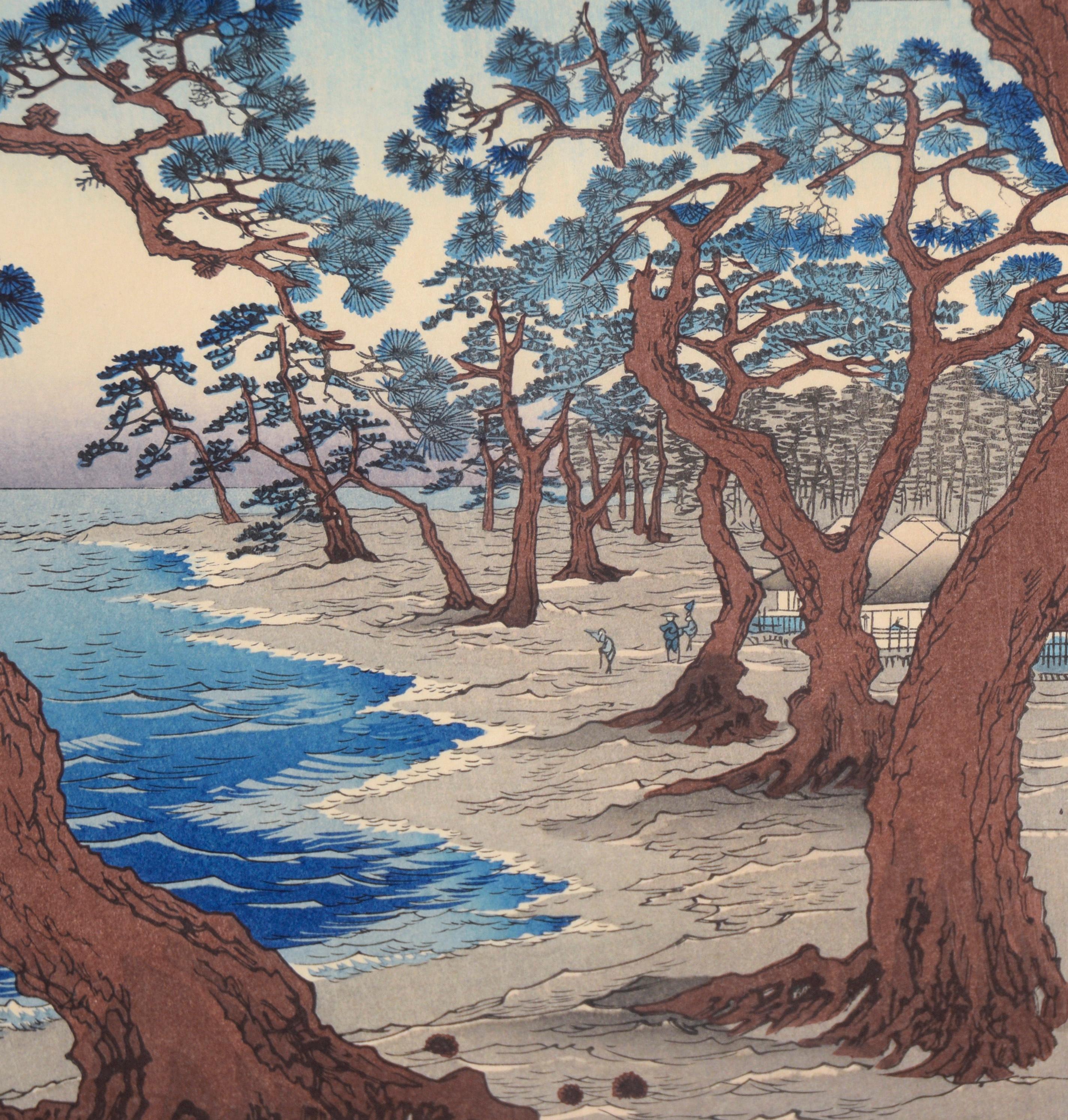 Pine Trees at Maiko Beach, from 