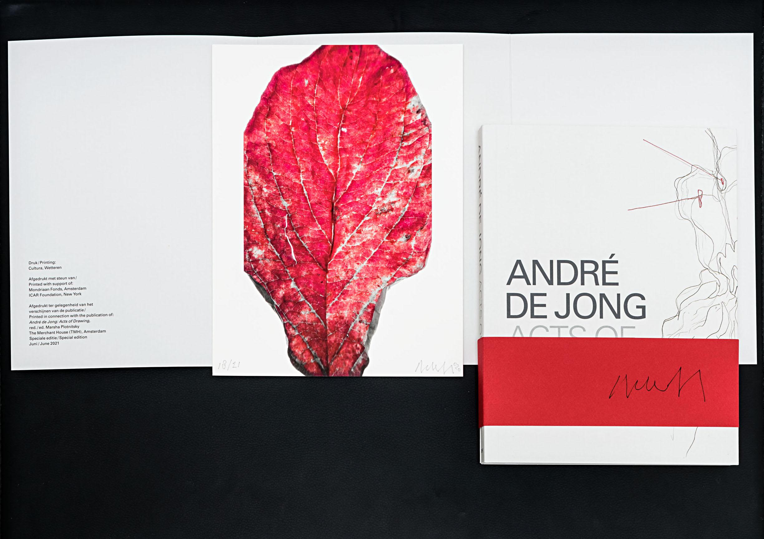 Enigma (2020) – Photograph von André de Jong