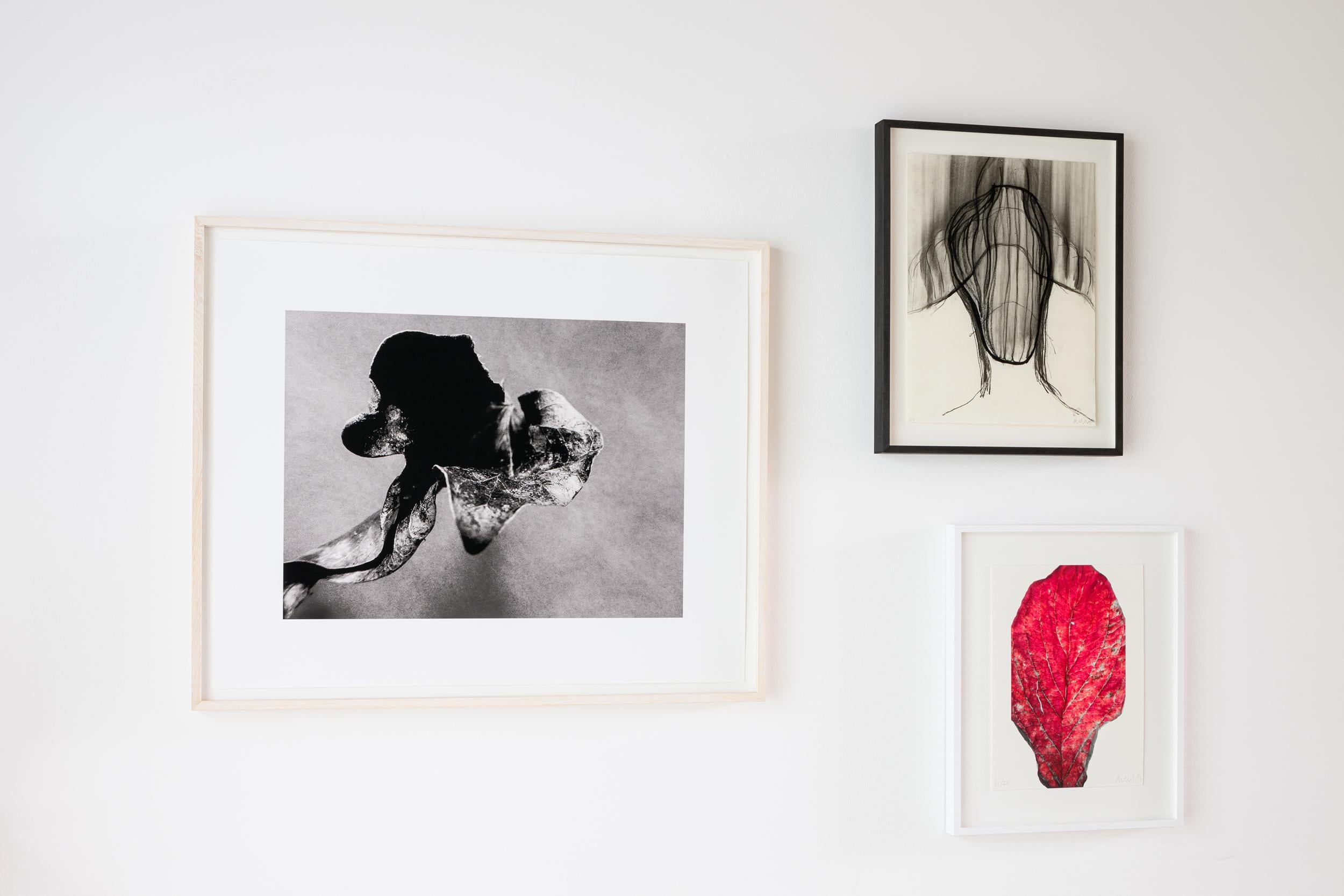 Präsentiert von The Merchant House Gallery, Amsterdam (www*merchanthouse*nl).
Bitte beachten Sie: Wir haben ein spezielles Angebot / Rabatt durch Fedex. Die Versandpreise sind verhandelbar.

Es handelt sich um eine limitierte Sonderauflage, die