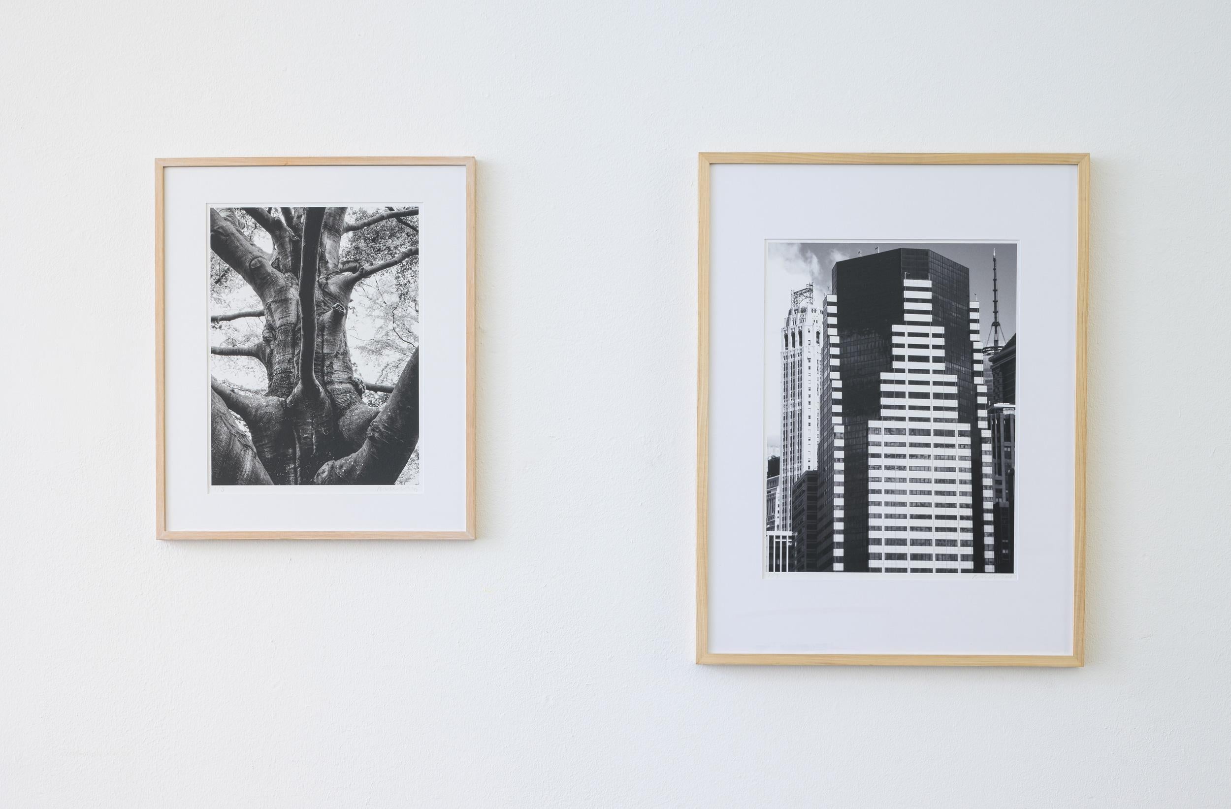 New York Diary, No. 4 - Photograph by André de Jong