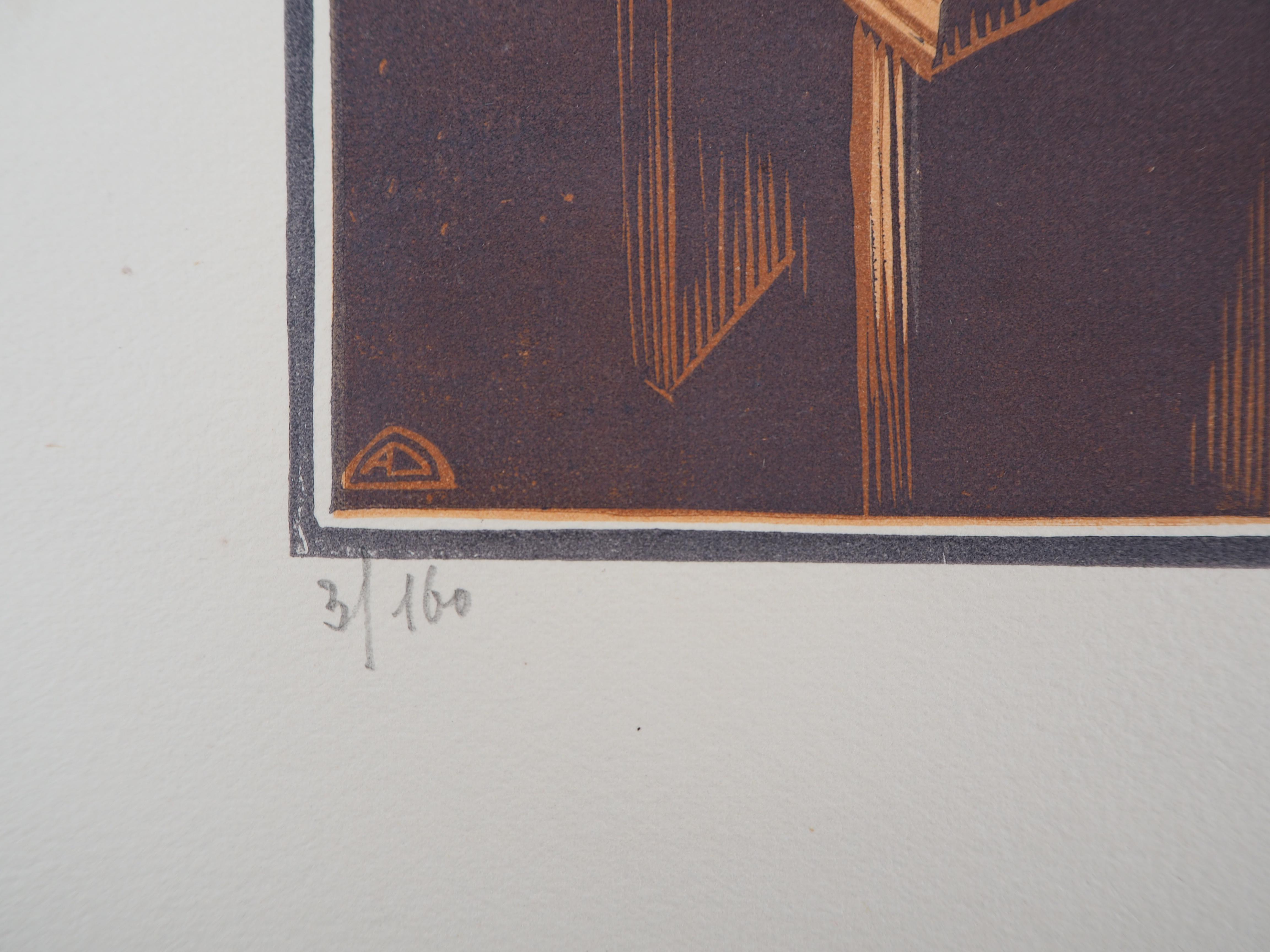 Old Trades : Laundress - Original wooodcut, Handsigned & numbered /160 - Brown Interior Print by André DESLIGNIERES 