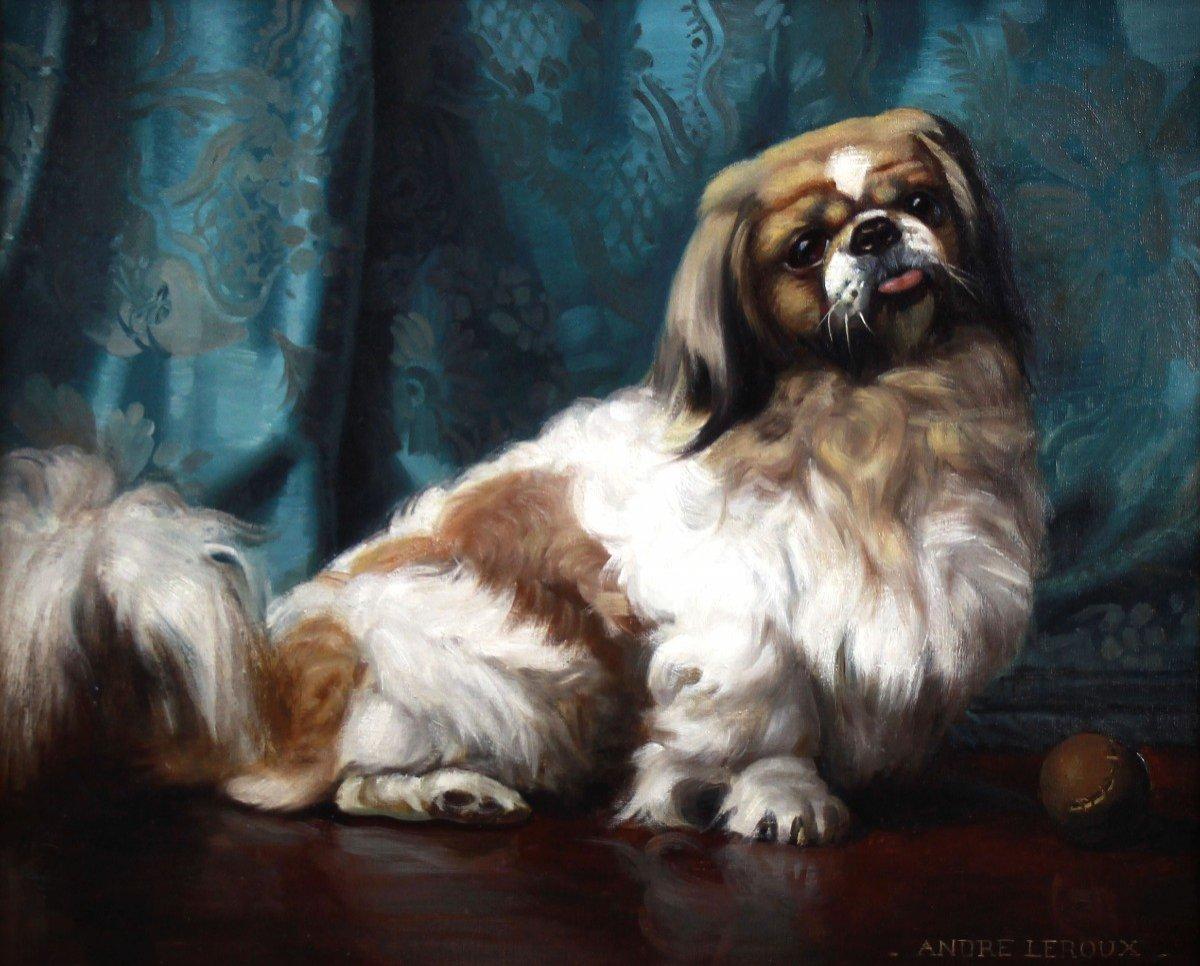 Oil On Canvas Portrait Of A Pekingese Dog 20th French School - Painting by André Leroux ( 1911-1997 )