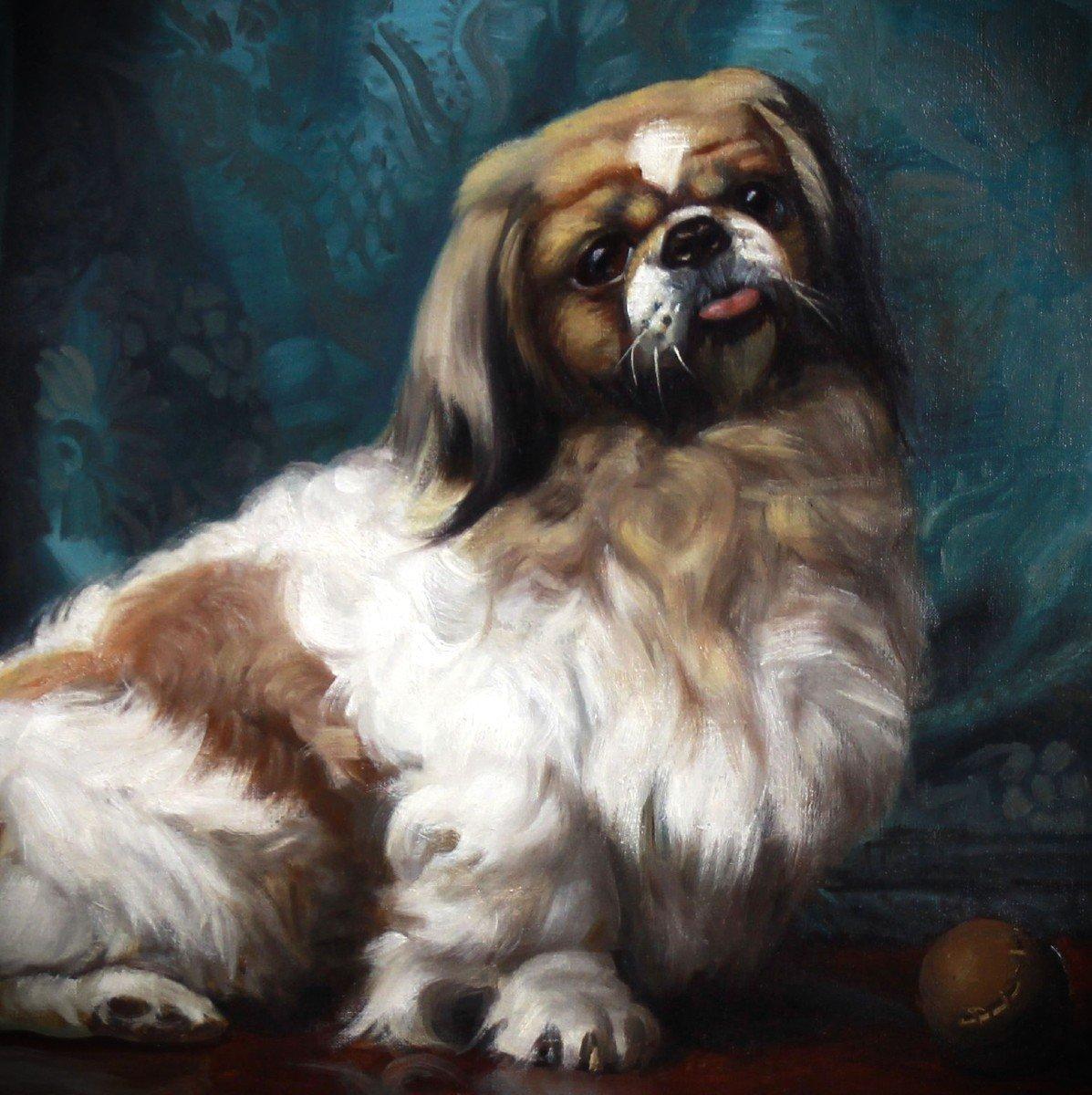 Oil On Canvas Portrait Of A Pekingese Dog 20th French School - Brown Animal Painting by André Leroux ( 1911-1997 )