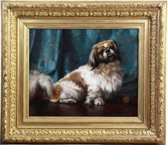 Vintage Oil On Canvas Portrait Of A Pekingese Dog 20th French School