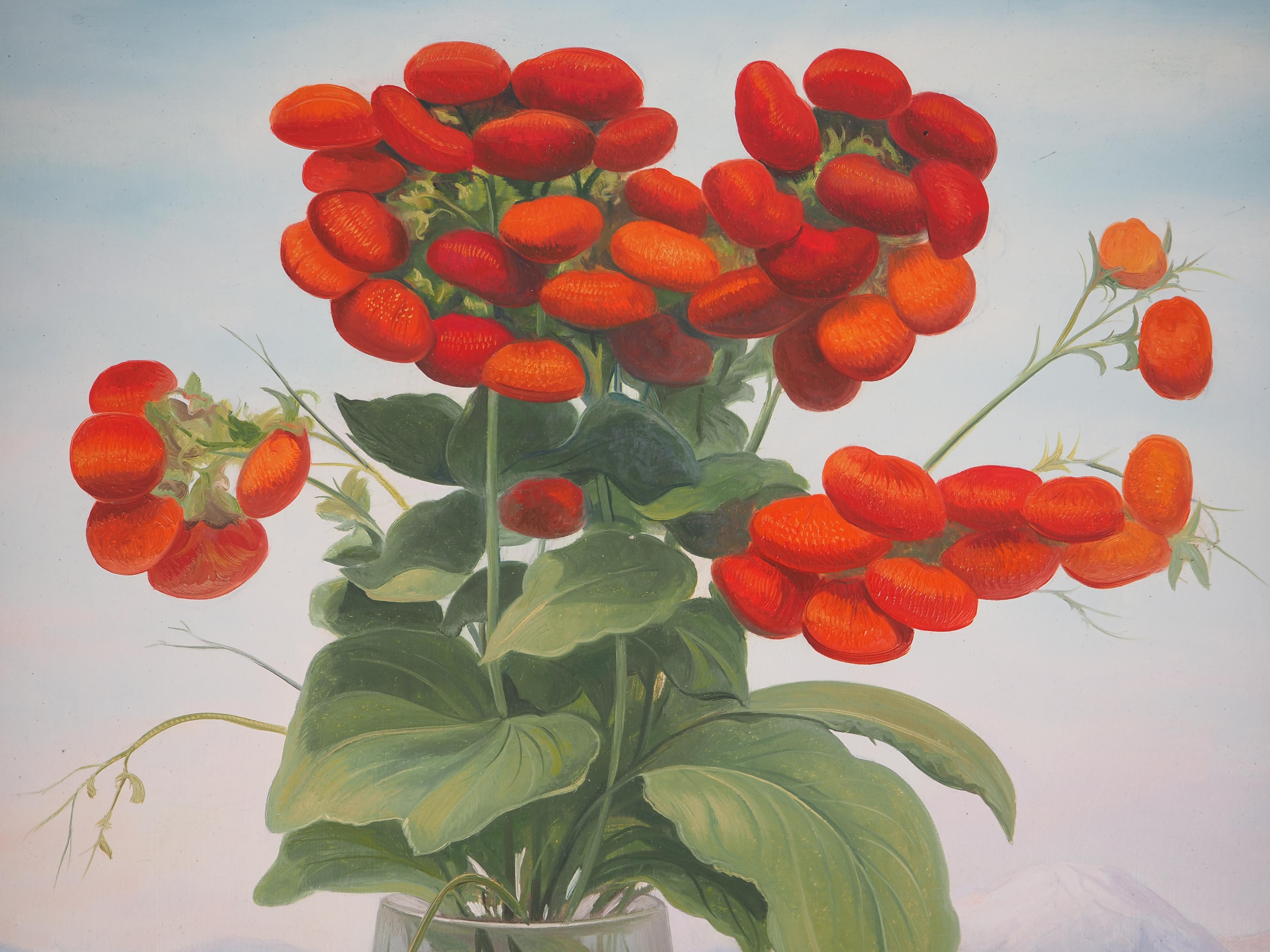 Fiori rossi: la Calceolaria - Pittura ad olio originale, firmata 2