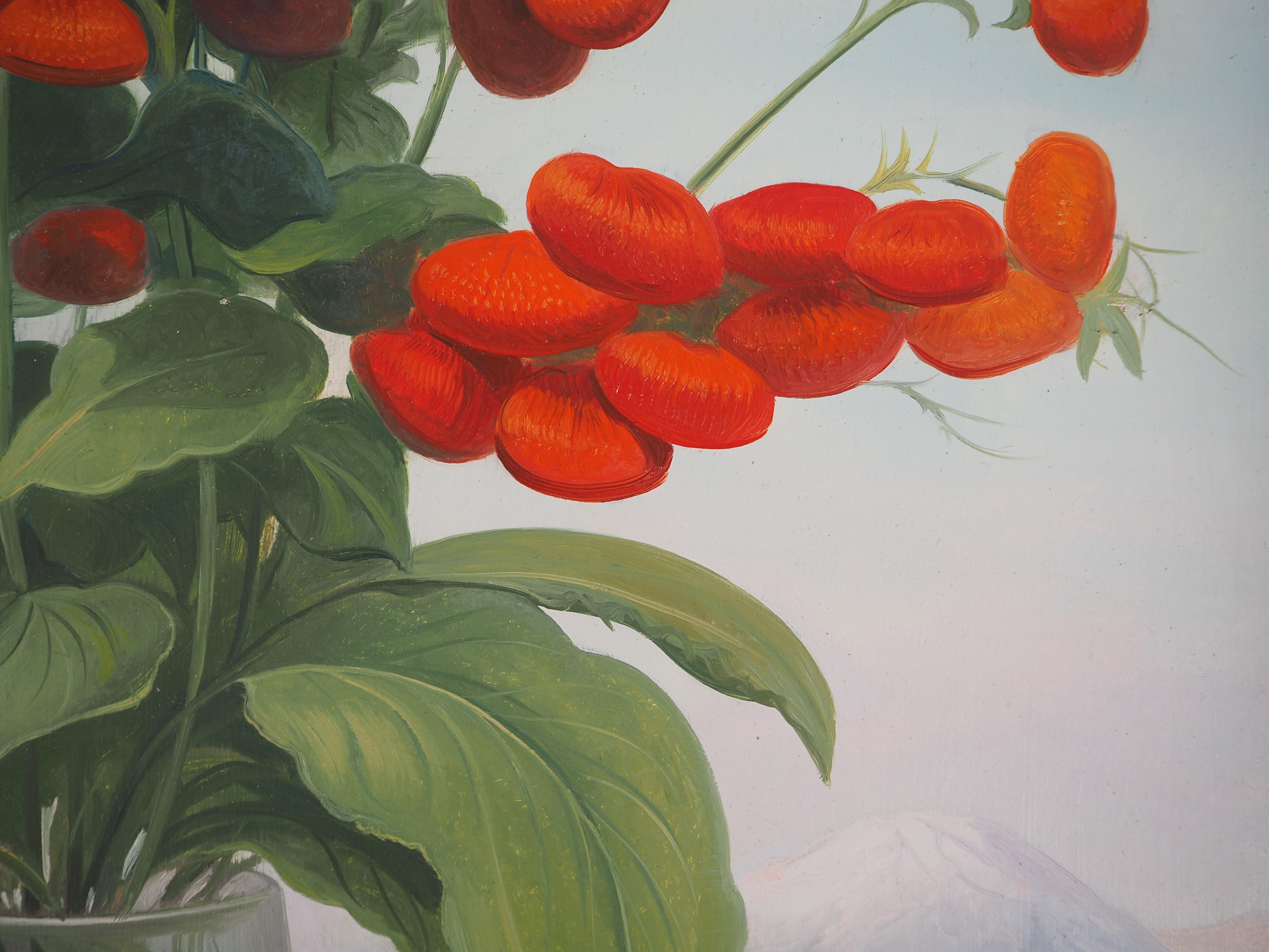 Fiori rossi: la Calceolaria - Pittura ad olio originale, firmata 5
