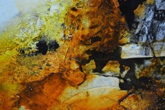 Chasing beauty, Mixed Media on Canvas