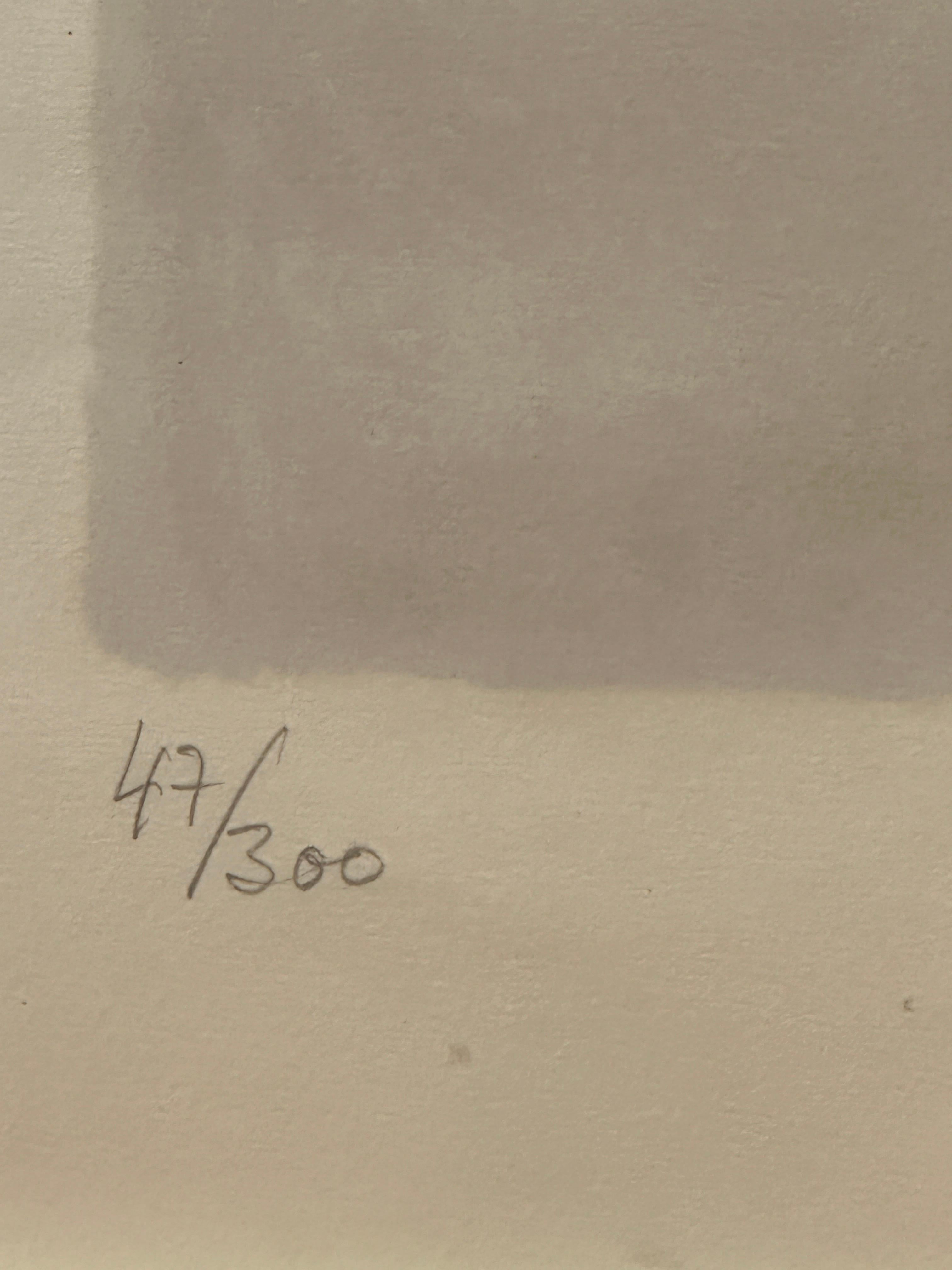 Color lithograph on Arches paper by Andre Brasilier 3