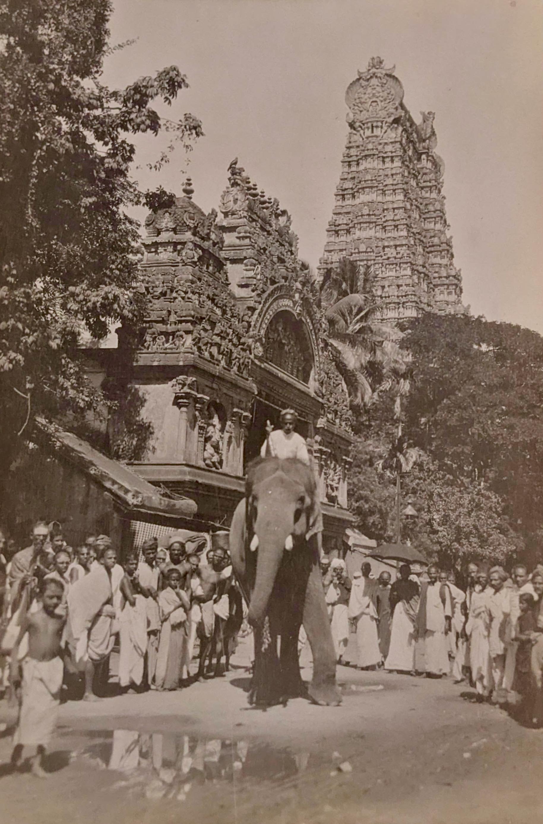 Meenakshi temple hindou et éléphant sacré Madurai Tamil India 1913 en vente 6
