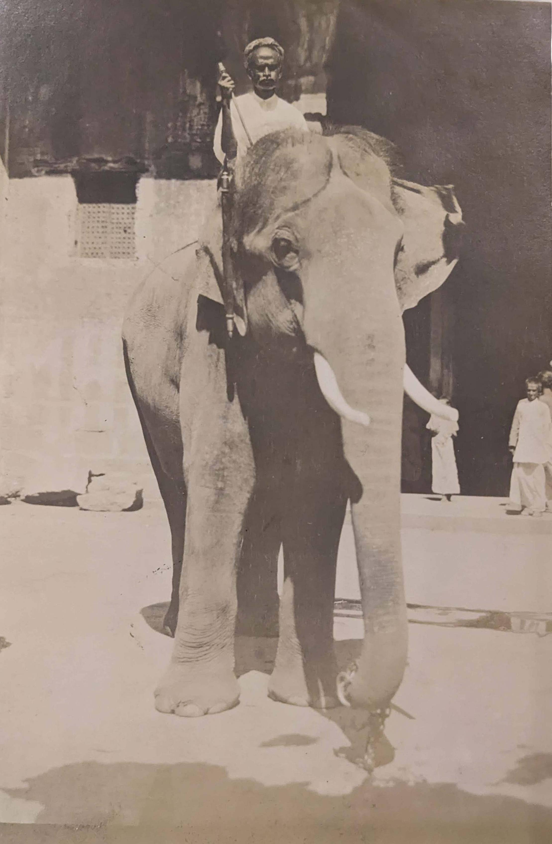 Meenakshi Temple Hindu Priest & Sacred Elephant Madurai Tamil India 1913 o/c For Sale 7