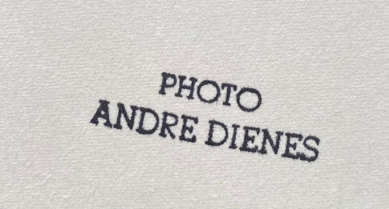andre de dienes marilyn monroe