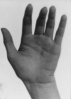 Vintage Marilyn Monroe's Palm, Mount Hood, Oregon, December