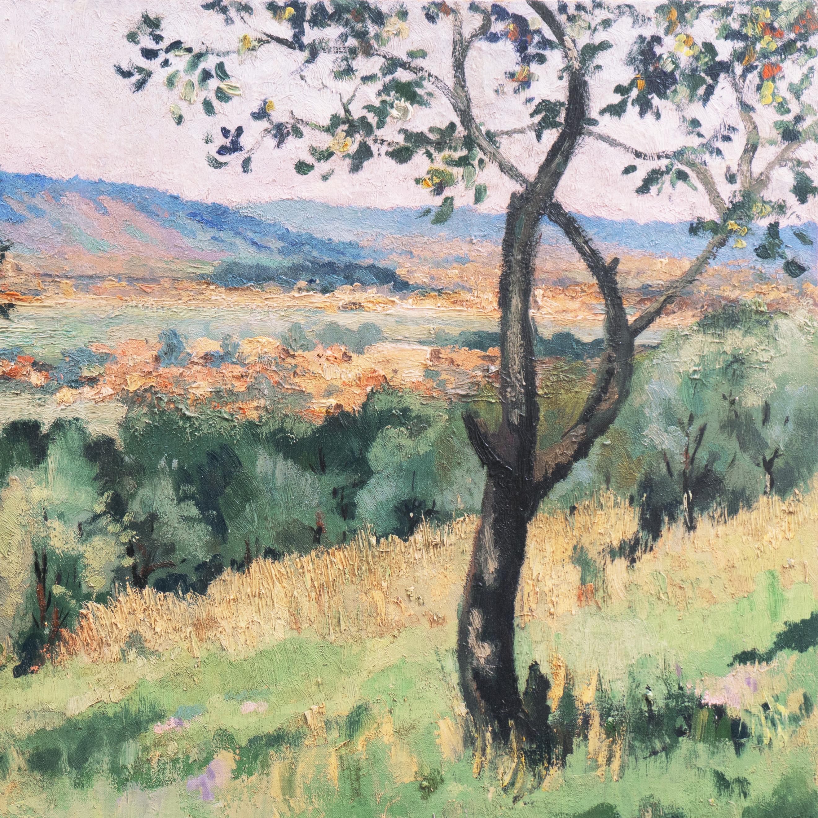 Locomotora de vapor en Bry-Sur-Marne