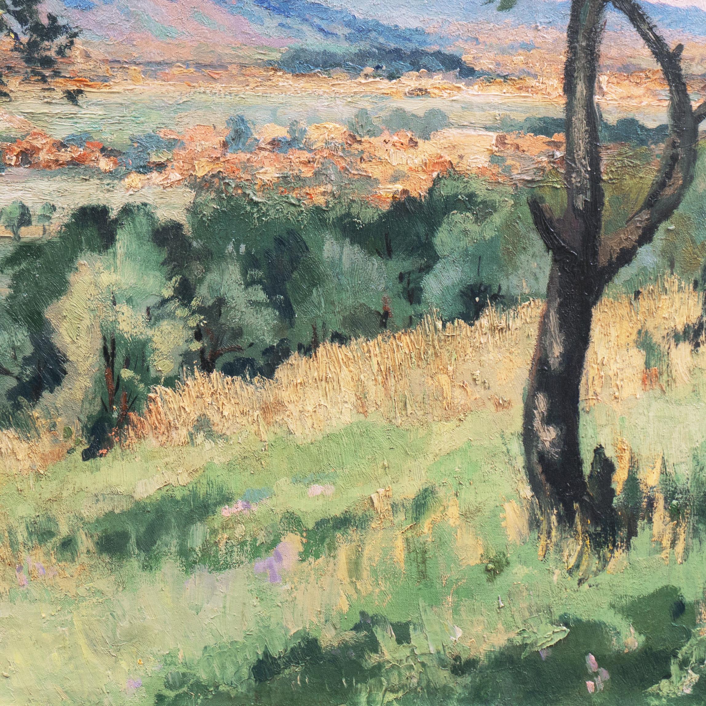 Locomotora de vapor en Bry-Sur-Marne