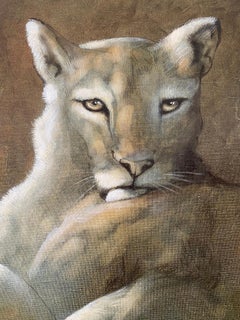 André Ferrand - Der Puma