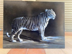 „“Der Tigress“ – Andr Ferrand