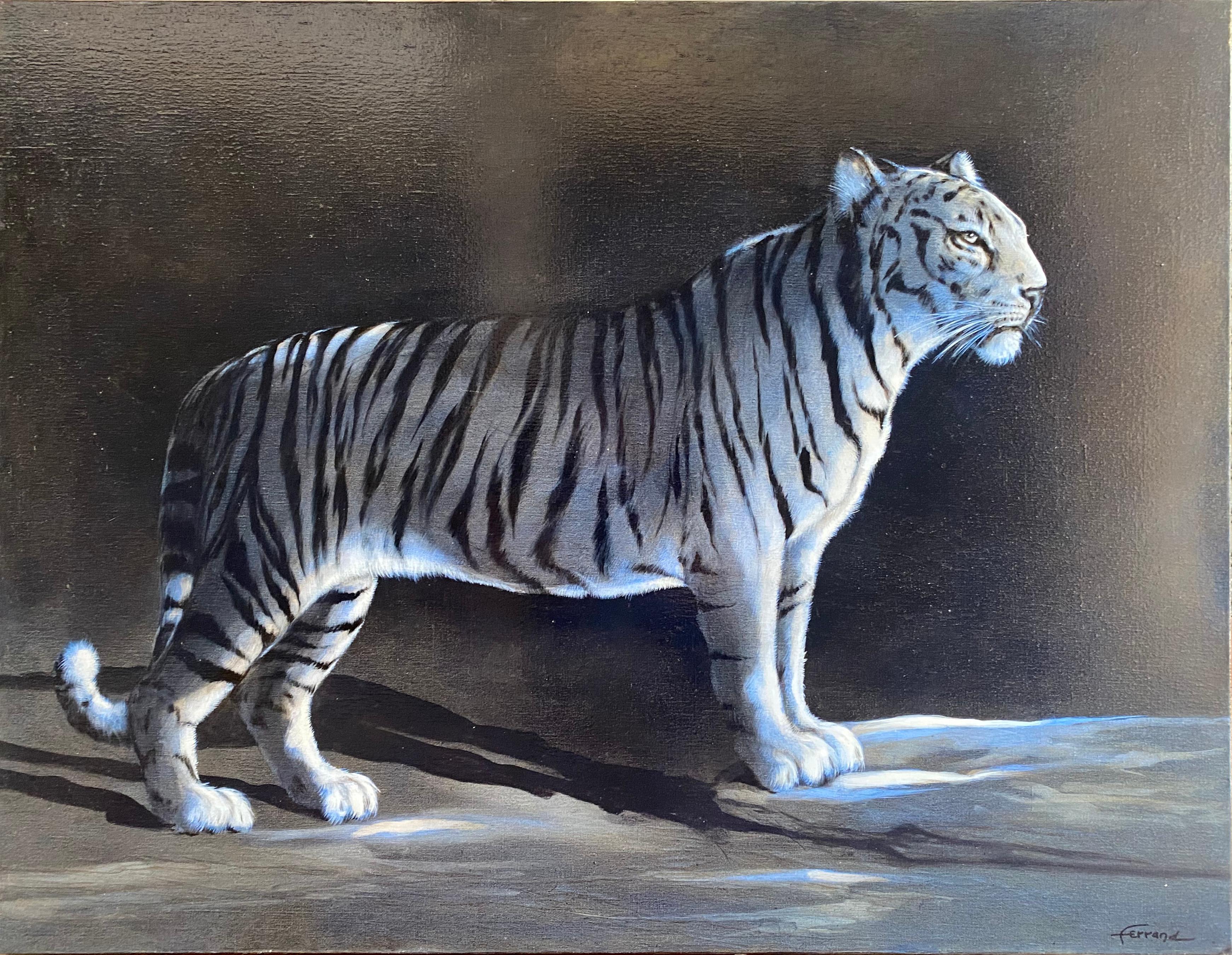 "La Tigre" - André Ferrand 

Olio su tela
2010
Dimensioni: 121 x 94
1600€